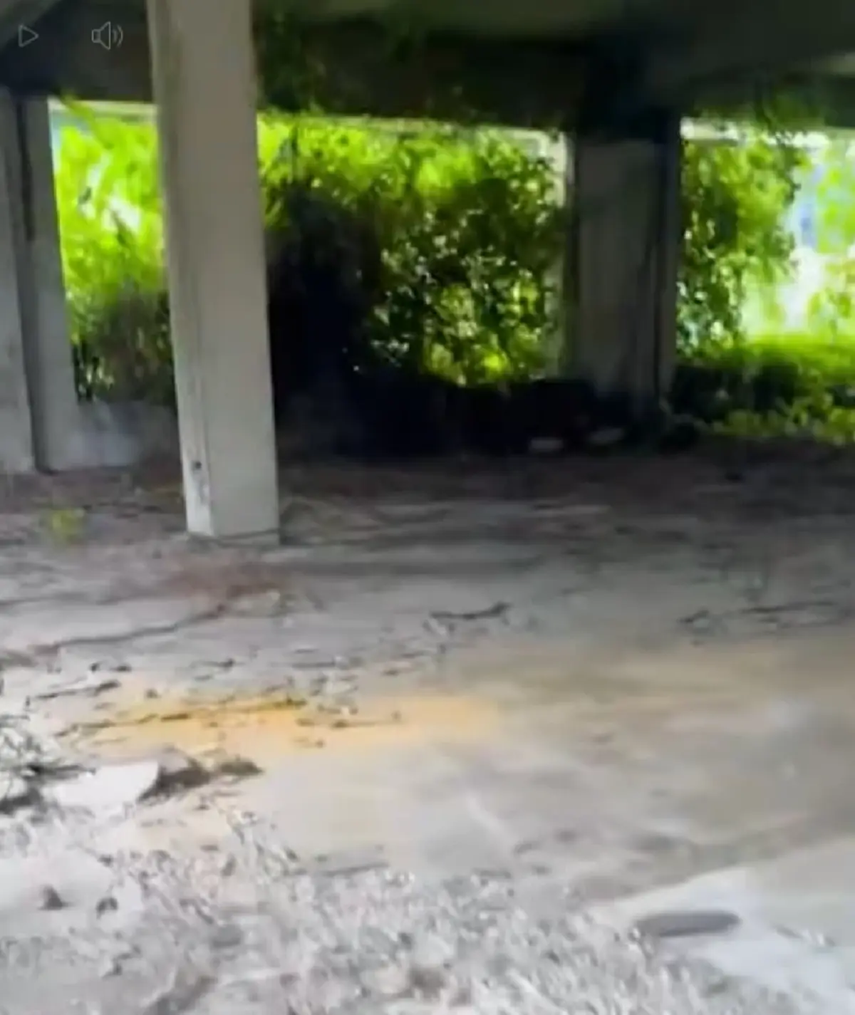 เปิดอายุแท้จริง เจ้าของโครงกระดูกมนุษย์ ในตึกร้าง ถนนแจ้งวัฒนะ