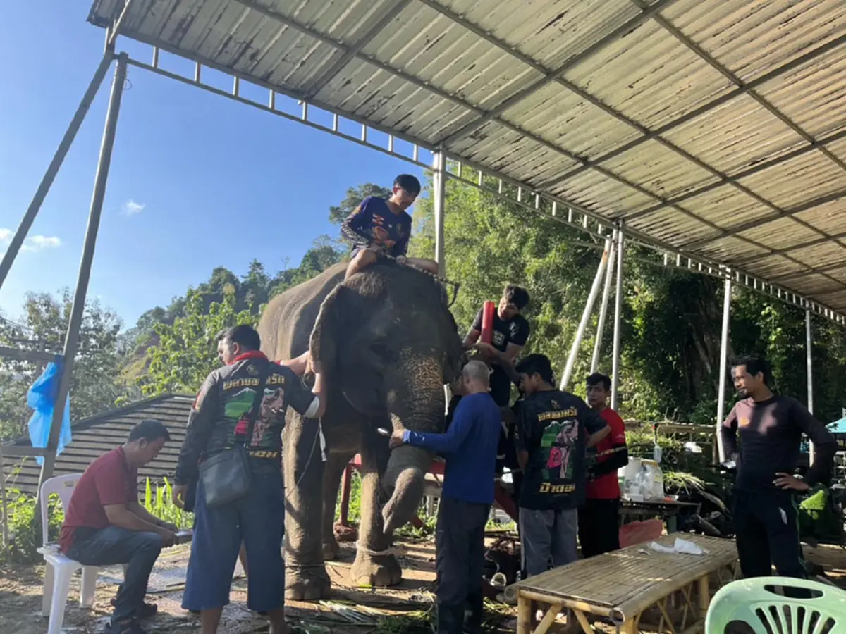 ข่าวดี อัปเดต น้องต้นหนาว ล่าสุด ยอมเลยหัวใจนักสู้ของจริง