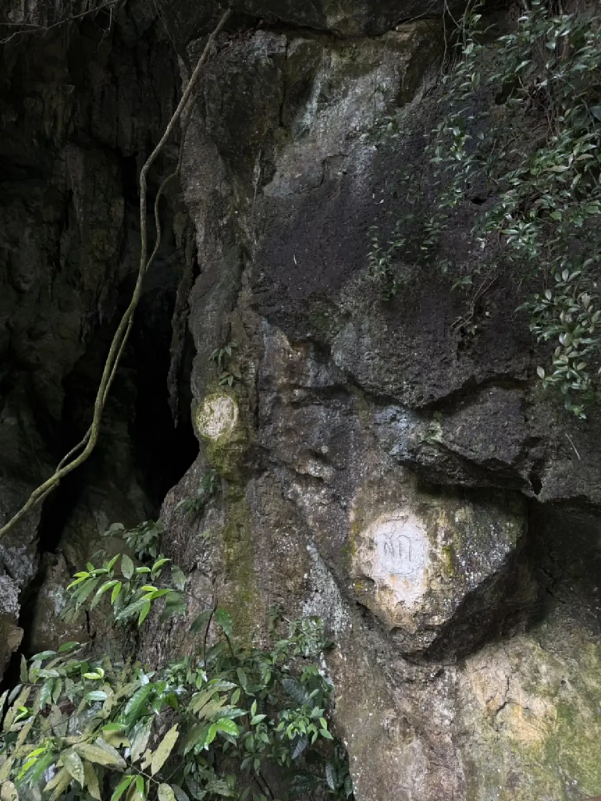 เผยภาพรอยสลักคู่ ลายฝีพระหัตถ์ ภปร.-สก. บนผาหินธารโบกขรณี