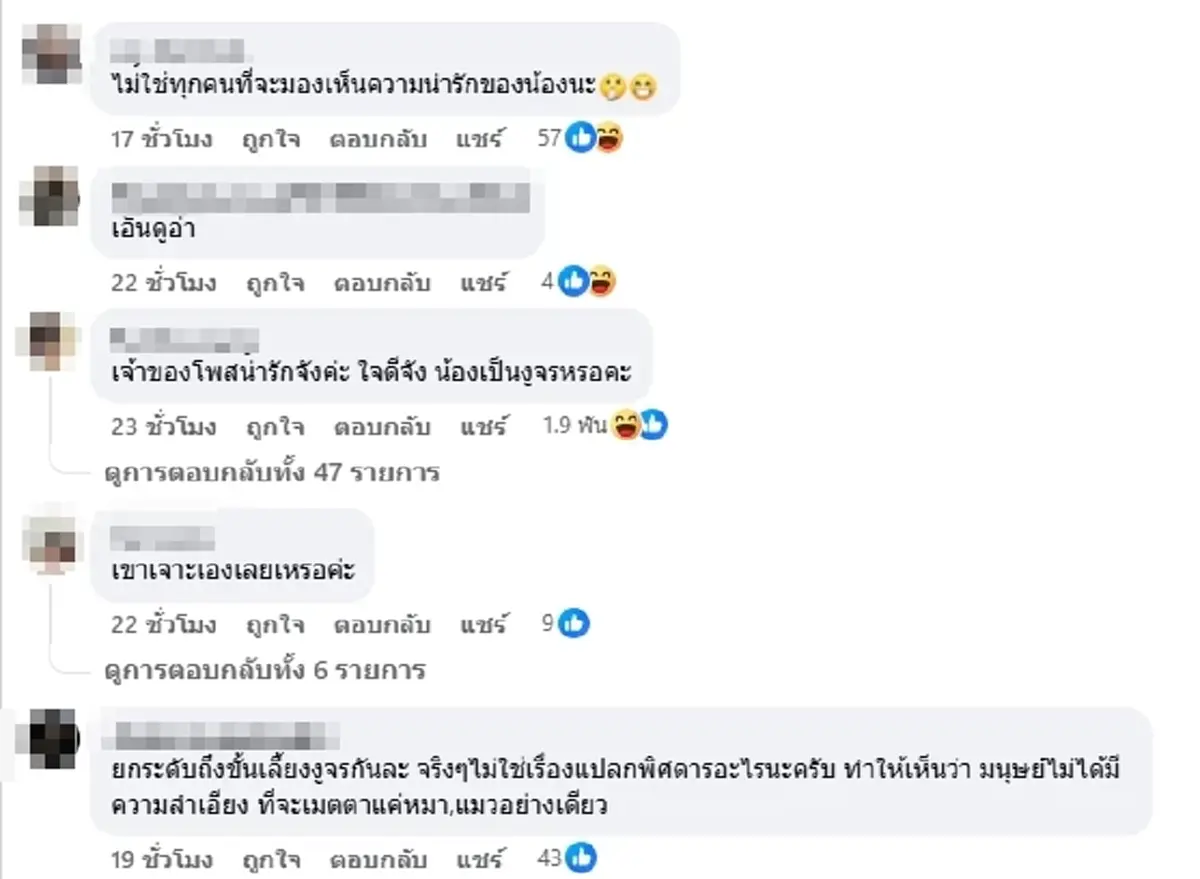 สาวใจดีเลี้ยง "งูจร" ผ่านไปหลายเดือนโผล่อีกที คอมเมนต์ฮาสนั่น