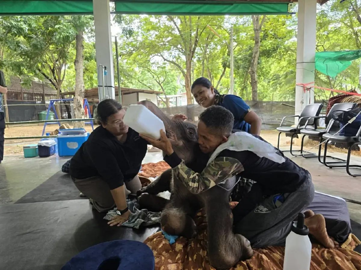 รู้แล้วใจฟู อัปเดตน้องข้าวต้ม ล่าสุดหลังดูแลอย่างใกล้ชิด