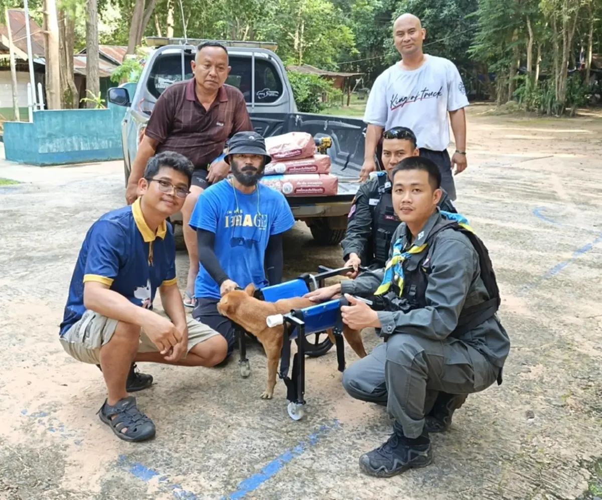 หมาชายแดน หาบ้าน เสียขาหน้า ตชด.ช่วยจากกับดักนายพรานเขมร