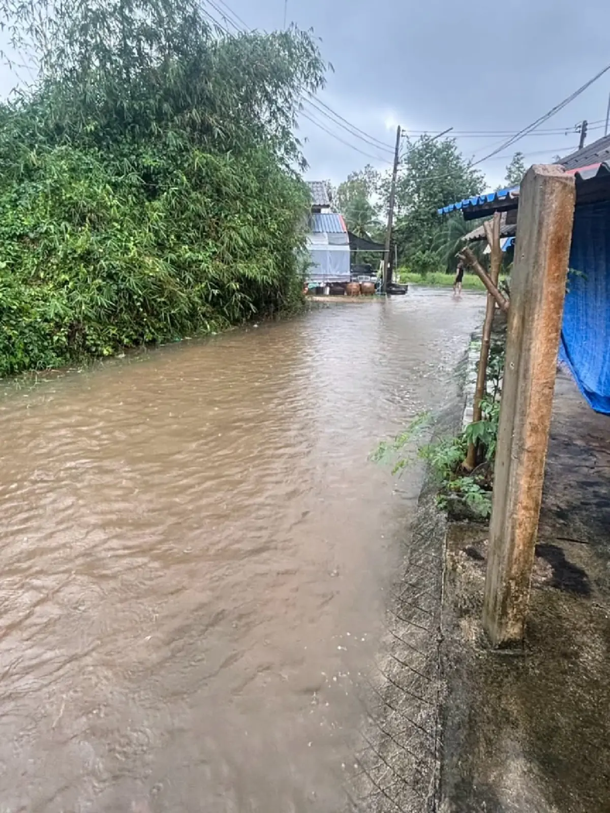 น้ำท่วมสงขลา บ้าน “หนูเล็ก ก่าก๊า” ใต้ถนนถูกตัดขาด ส่งของล่าช้า