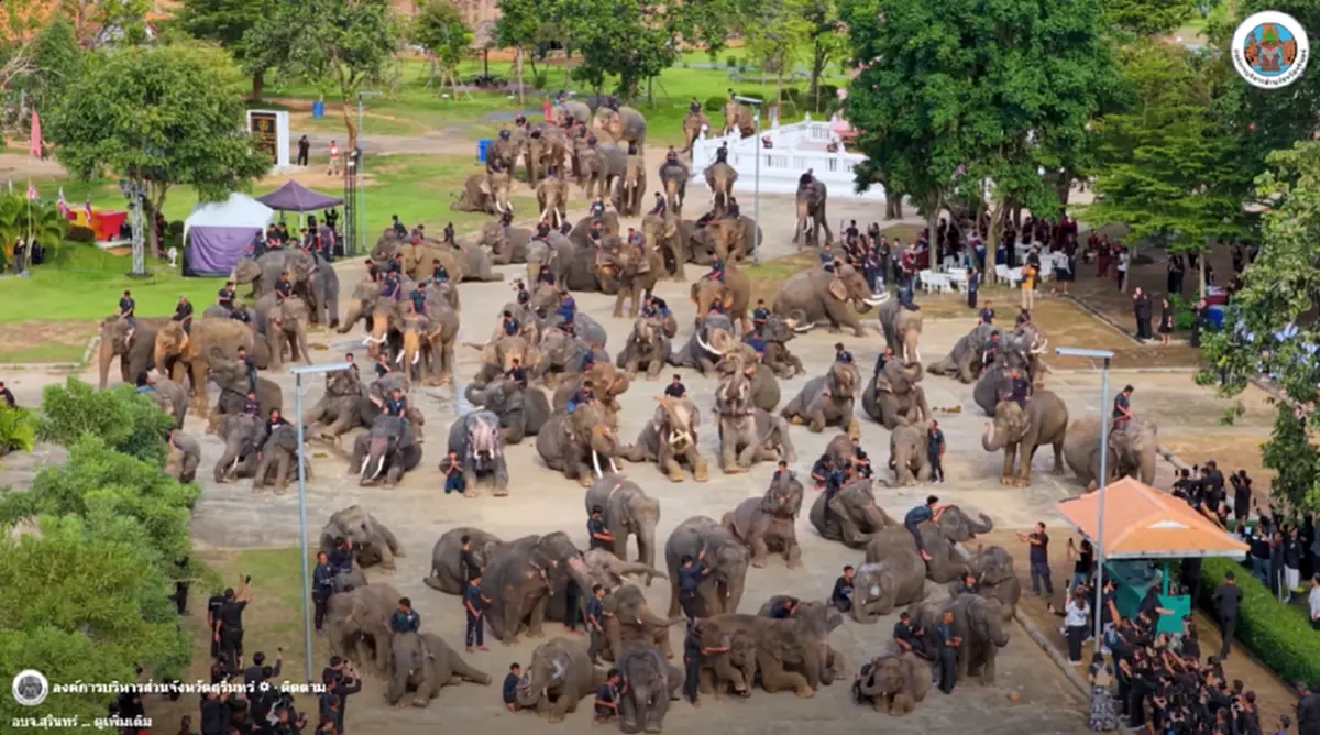 มหัศจรรย์ช้างสุรินทร์ กว่า 300 เชือก ร่วมถวายอาลัยแม่ของแผ่นดิน