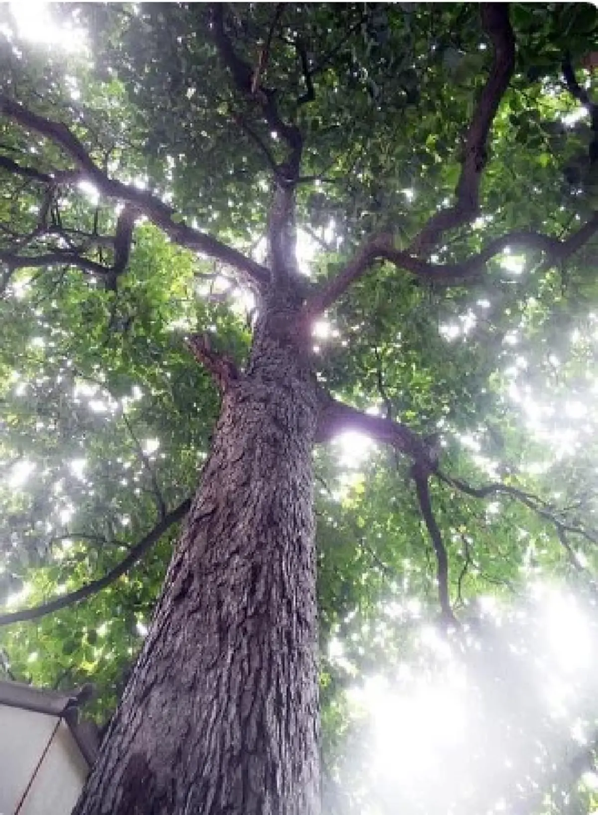 เปิดที่มา ทำไมถึงชื่อเมือง หาดใหญ่ ทั้ง ๆ ที่ไม่ได้อยู่ติดทะเล 