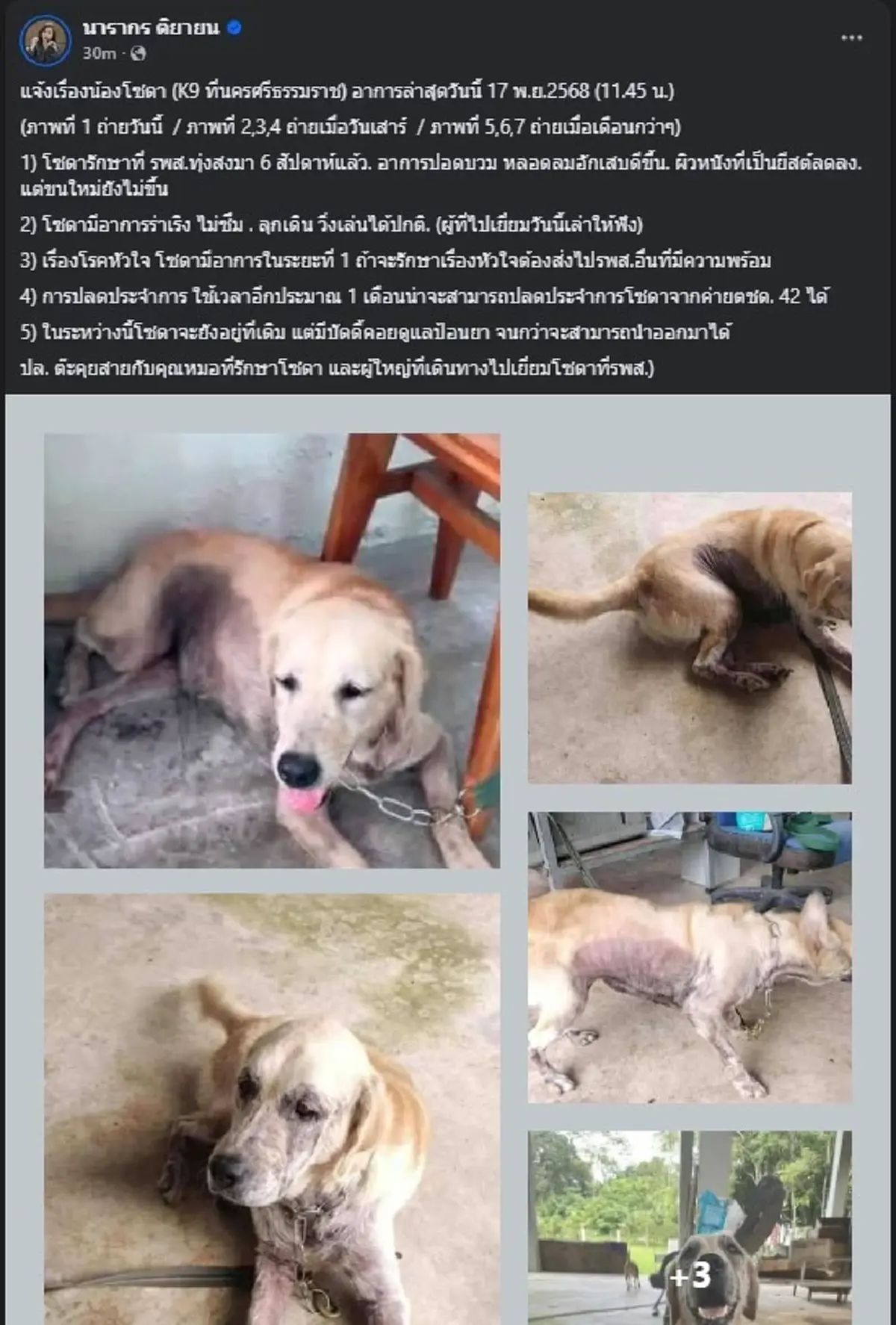 เปิดอาการ "น้องโซดา K9" ล่าสุด ชาวเน็ตแห่เป็นห่วงทั้งโซเชียล