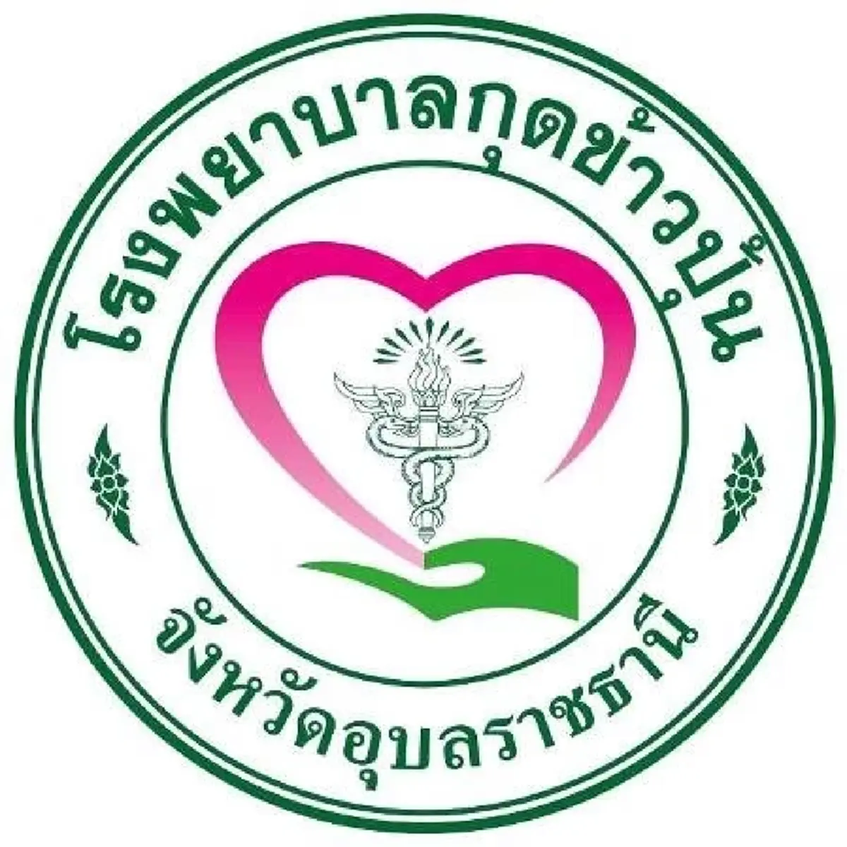 แถลงการณ์"รพ.กุดข้าวปุ้น"พยาบาลถูกญาติผู้ป่วยทำร้ายร่างกาย