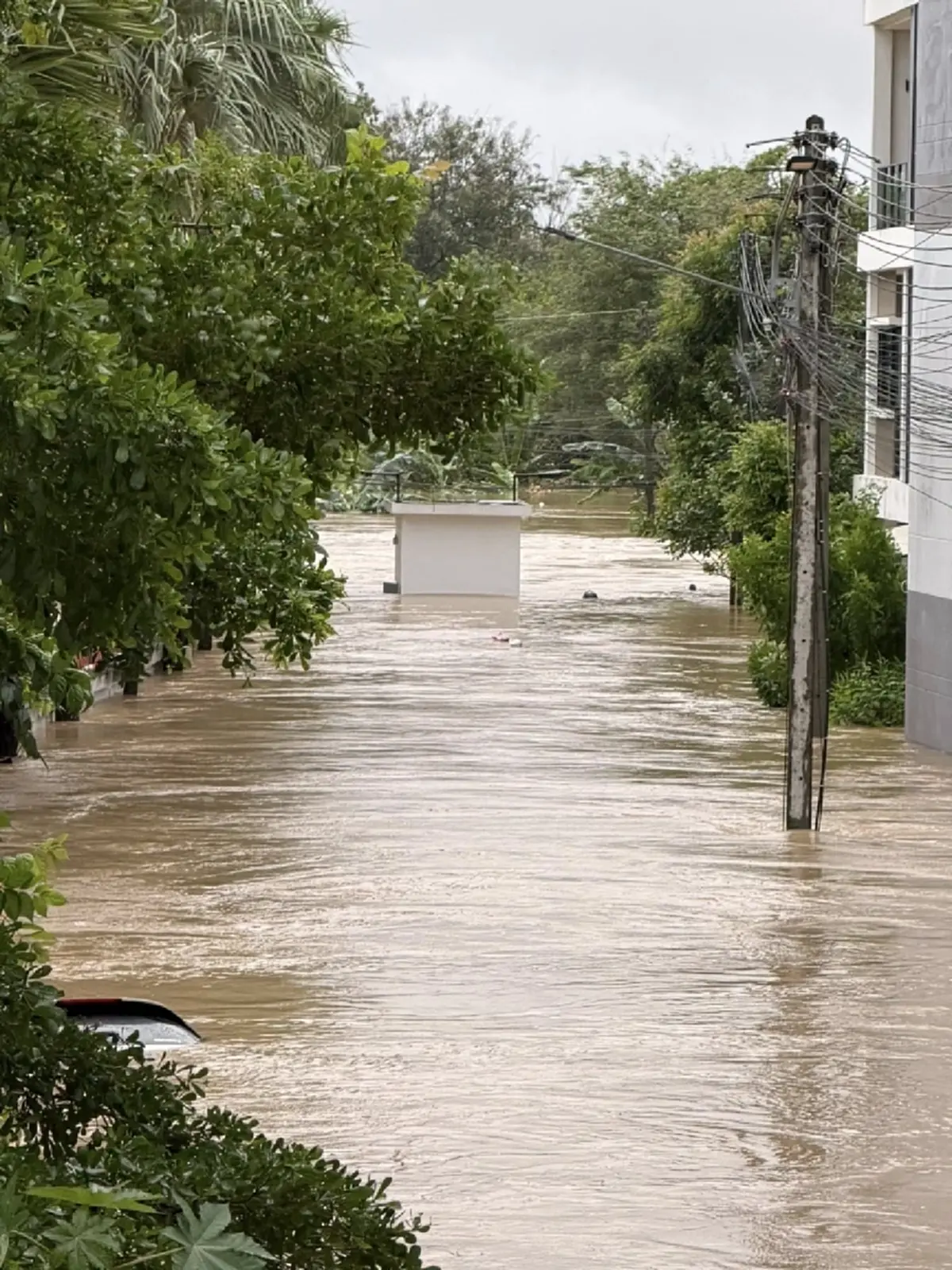 นาทีชีวิต CEO สาวหาดใหญ่ เหมือนหนังตะลุมพุก ธุรกิจพังในวันเดียว