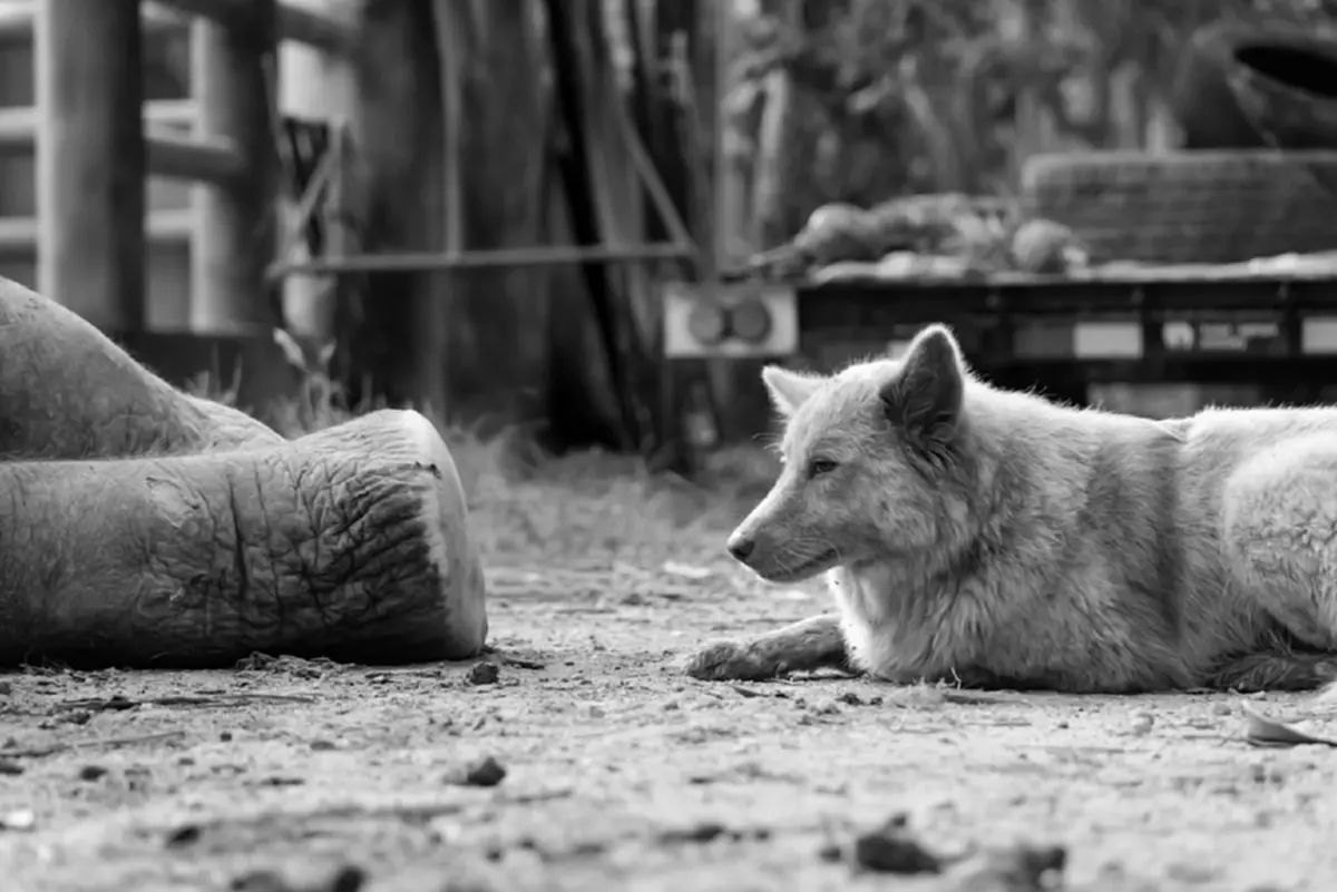 ย้อนชีวิต พังสร้อยฟ้า จากอดีตเจ็บปวด สู่บ้านหลังสุดท้ายของชีวิต