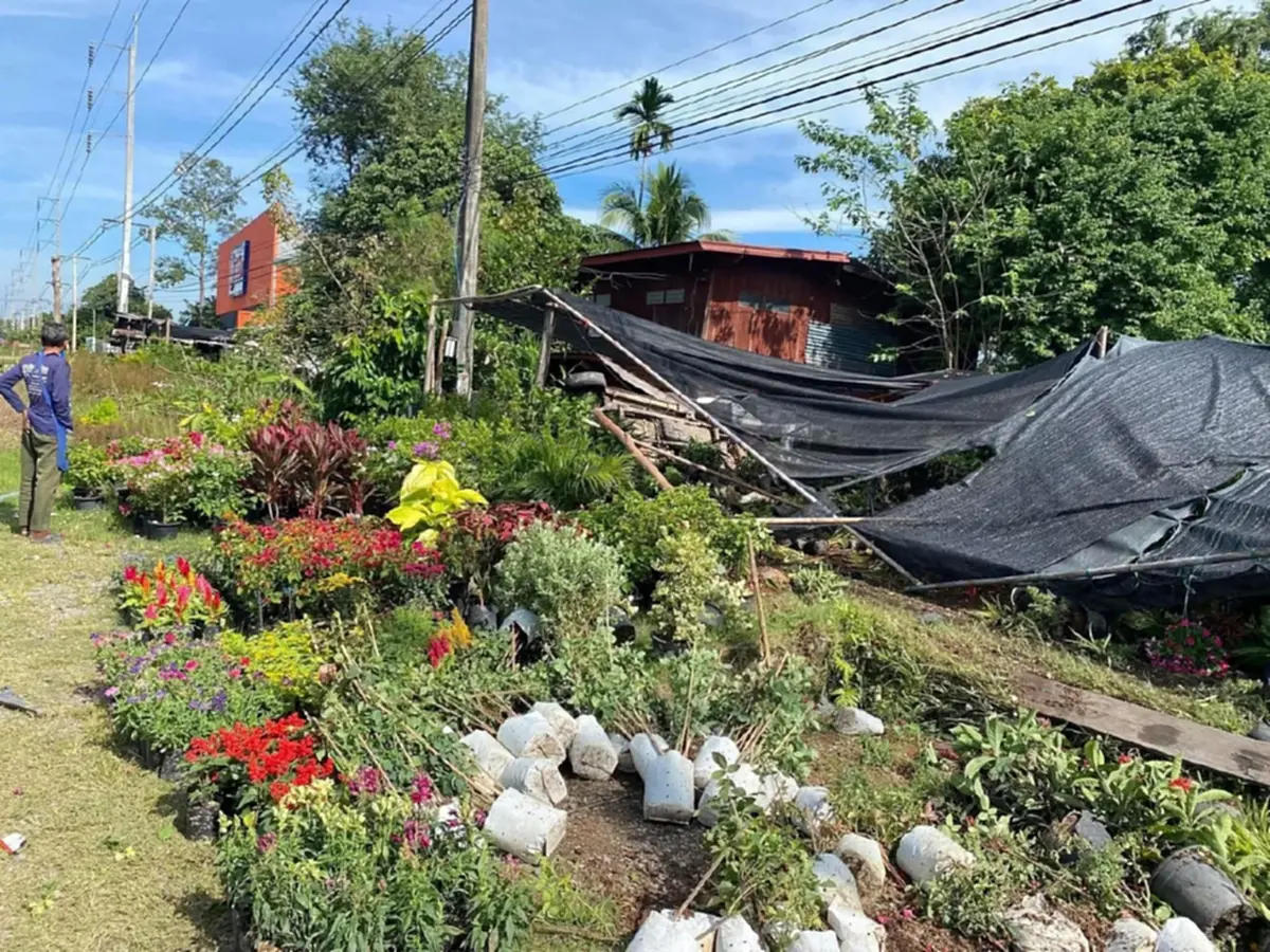 แม่ร่ำไห้ลูกชาย อดีตนร. แชมป์เหรียญทองวิทยาศาสตร์  หลงผิดจนติดคุก