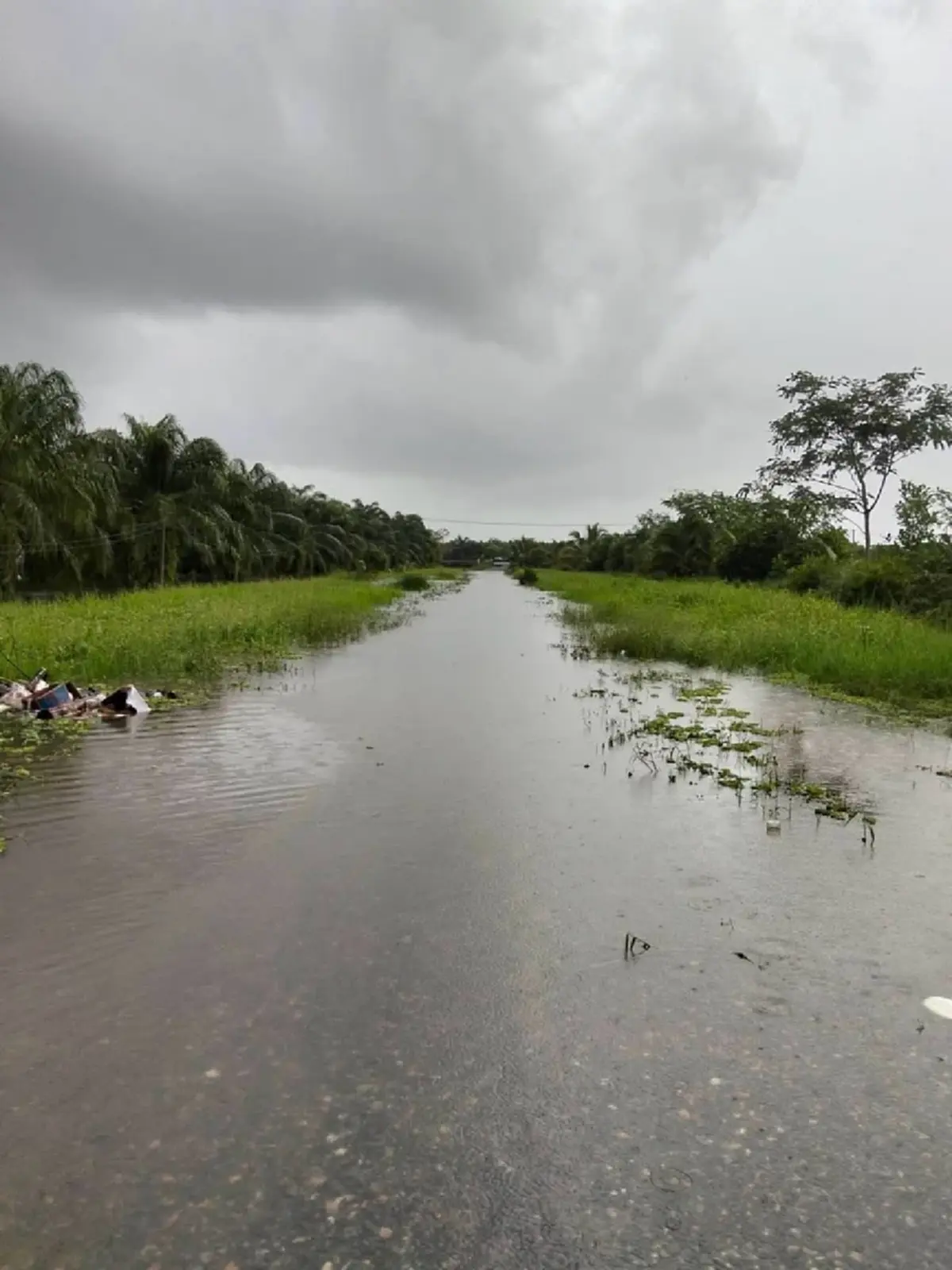 น้ำท่วมสงขลา บ้าน “หนูเล็ก ก่าก๊า” ใต้ถนนถูกตัดขาด ส่งของล่าช้า