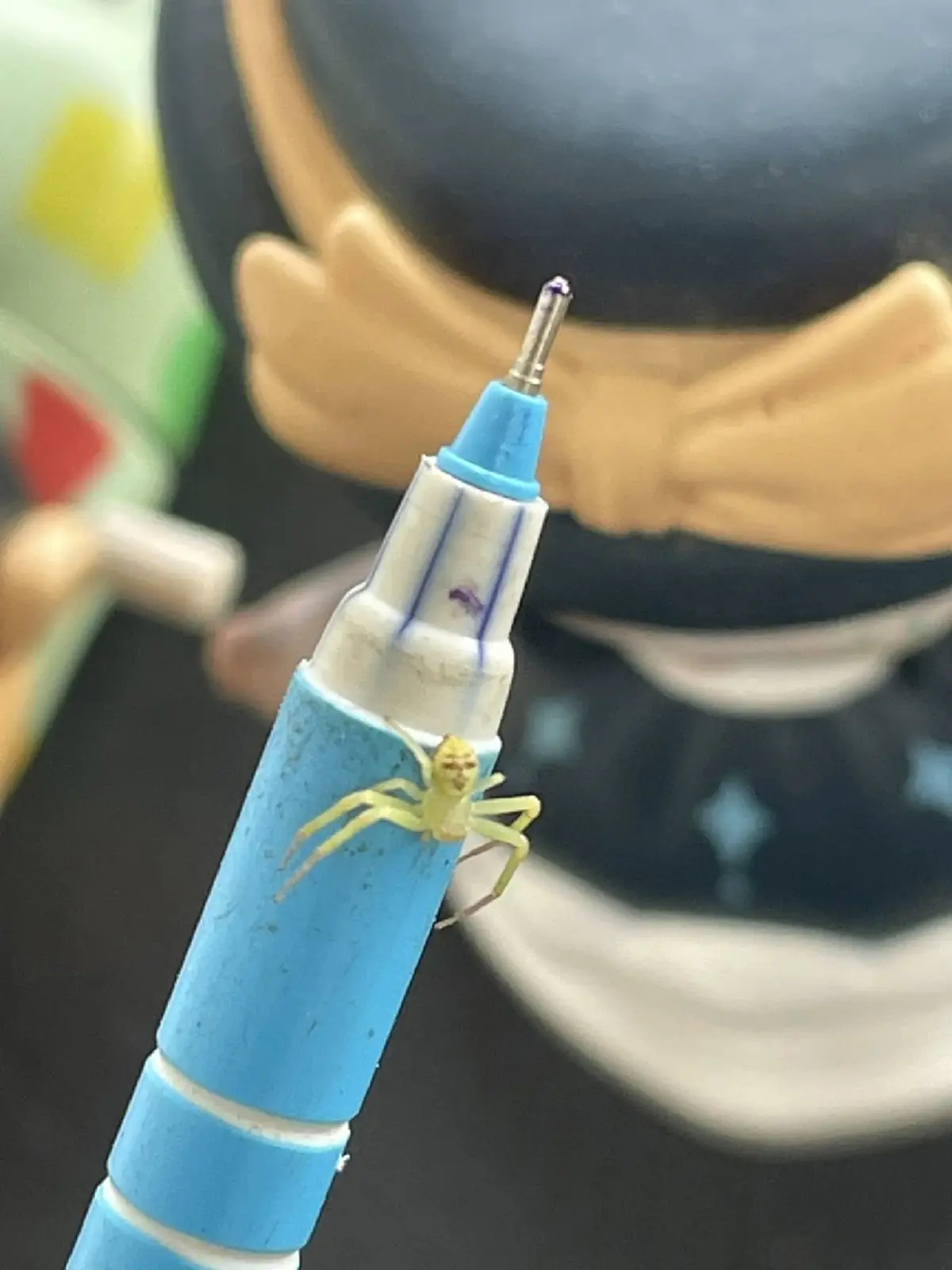 รู้แล้ว แมงมุมหน้าคน ที่แท้มันคืออะไรกันแน่ ชาวเน็ตแชร์สนั่น 