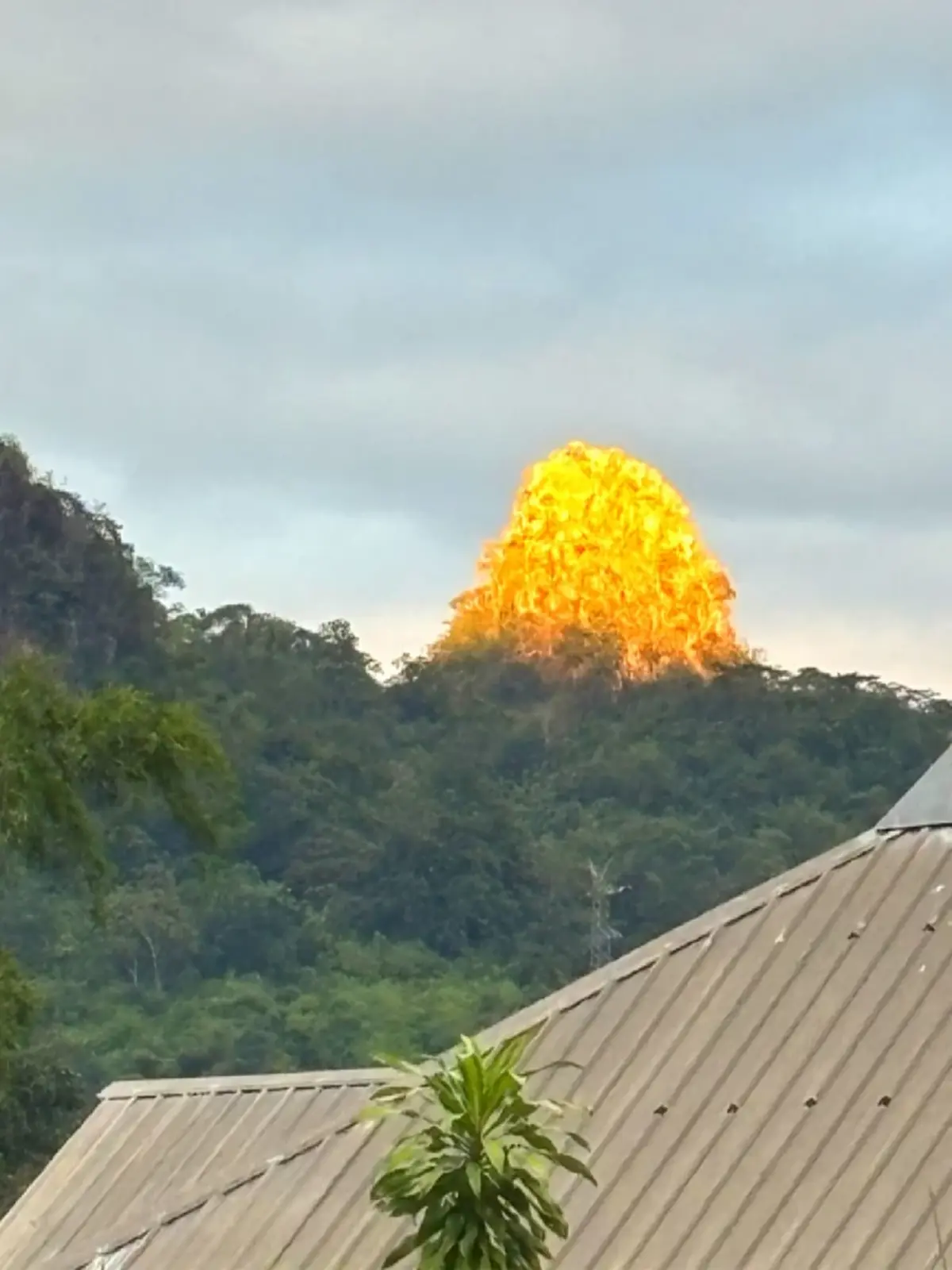 อ.เจษฎ์ เผยสาเหตุ ยอดเขาแหลม ทองผาภูมิ ทำไมเปลี่ยนเป็นสีทองอร่าม