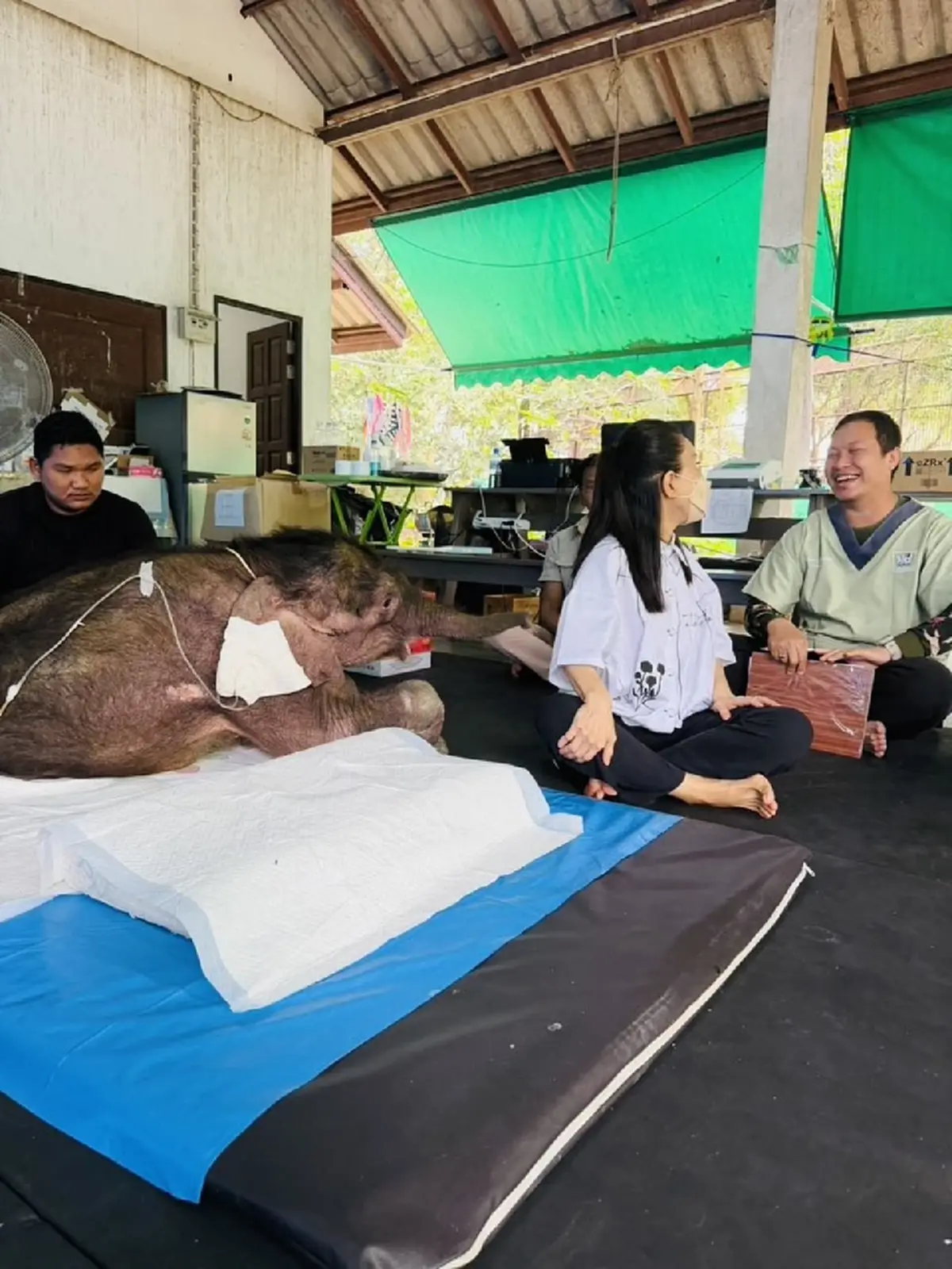 น้องข้าวต้ม เลือดนักสู้ อัปเดตล่าสุด จะโอบอุ้มน้องไปด้วยกัน