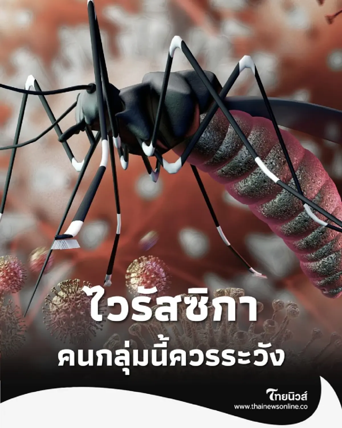 ไวรัสซิกา ภัยเงียบอันตรายที่ควรระวัง โดยเฉพาะคนกลุ่มนี้