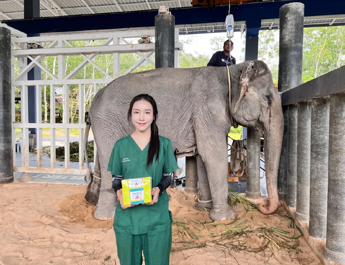 "หมอโบว์" จุกอก เล่าอาการสุดท้าย "พังสร้อยฟ้า" ก่อนสิ้นใจ