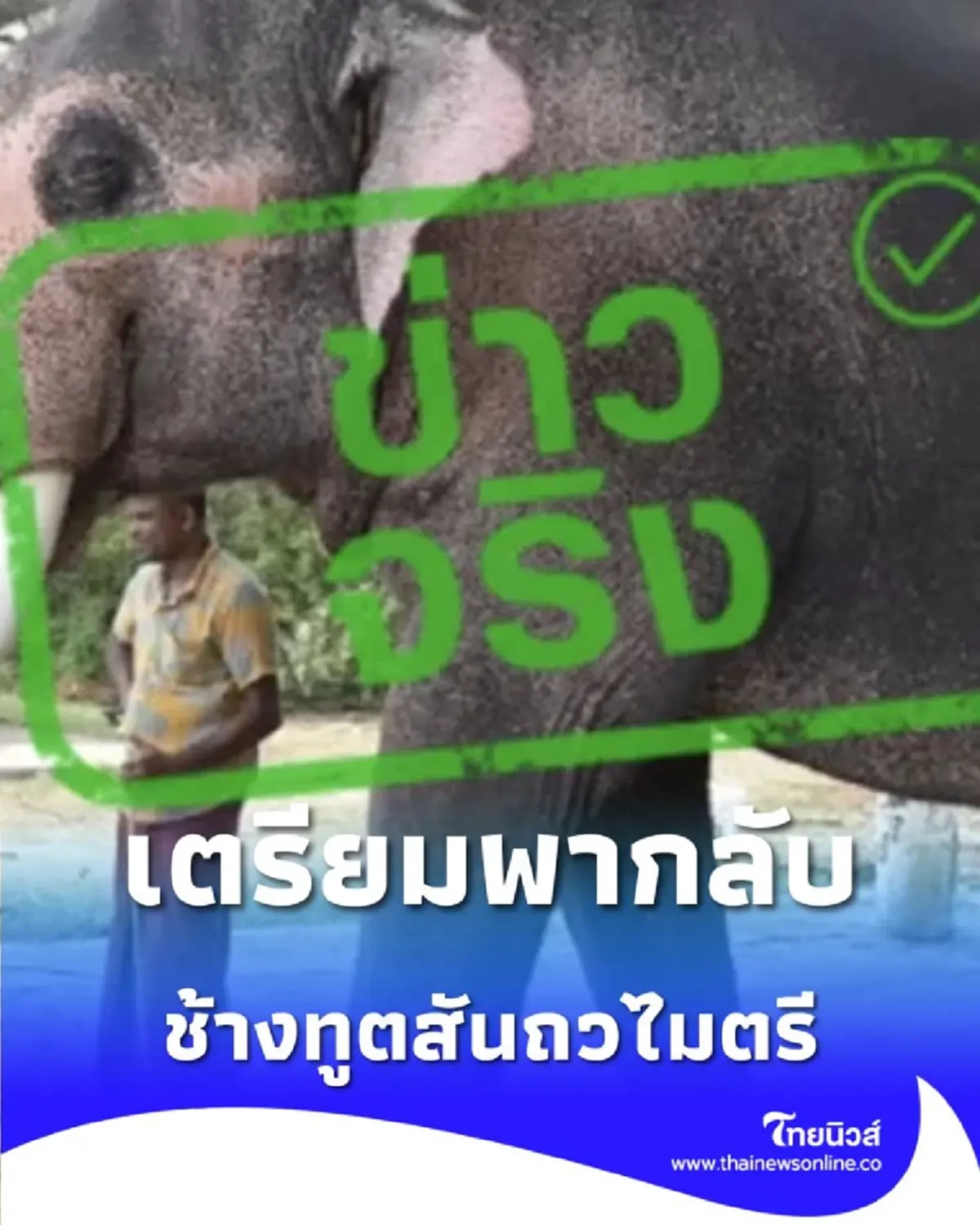 รัฐบาลไทย เดินหน้าแผนเจรจา ดึงช้าง ทูตสันถวไมตรี กลับสู่แผ่นดินแม่