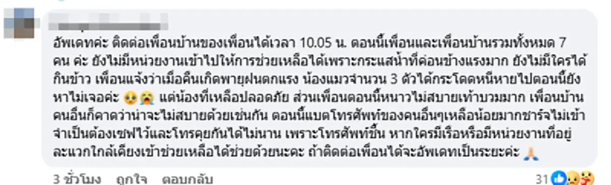 เจ้าของอัพเดตล่าสุด หลังติดบนหลังคา พร้อมหมา - แมว กว่า 20 ชีวิต