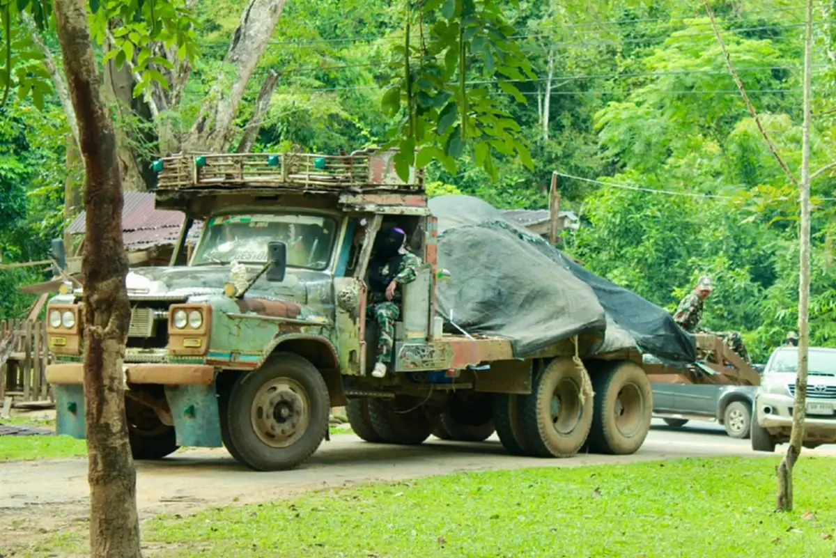 เศร้าอีก“ช้างป่า”แก่งกระจานถูกไฟช็อตดับสลด เร่งหาพยานหลักฐาน