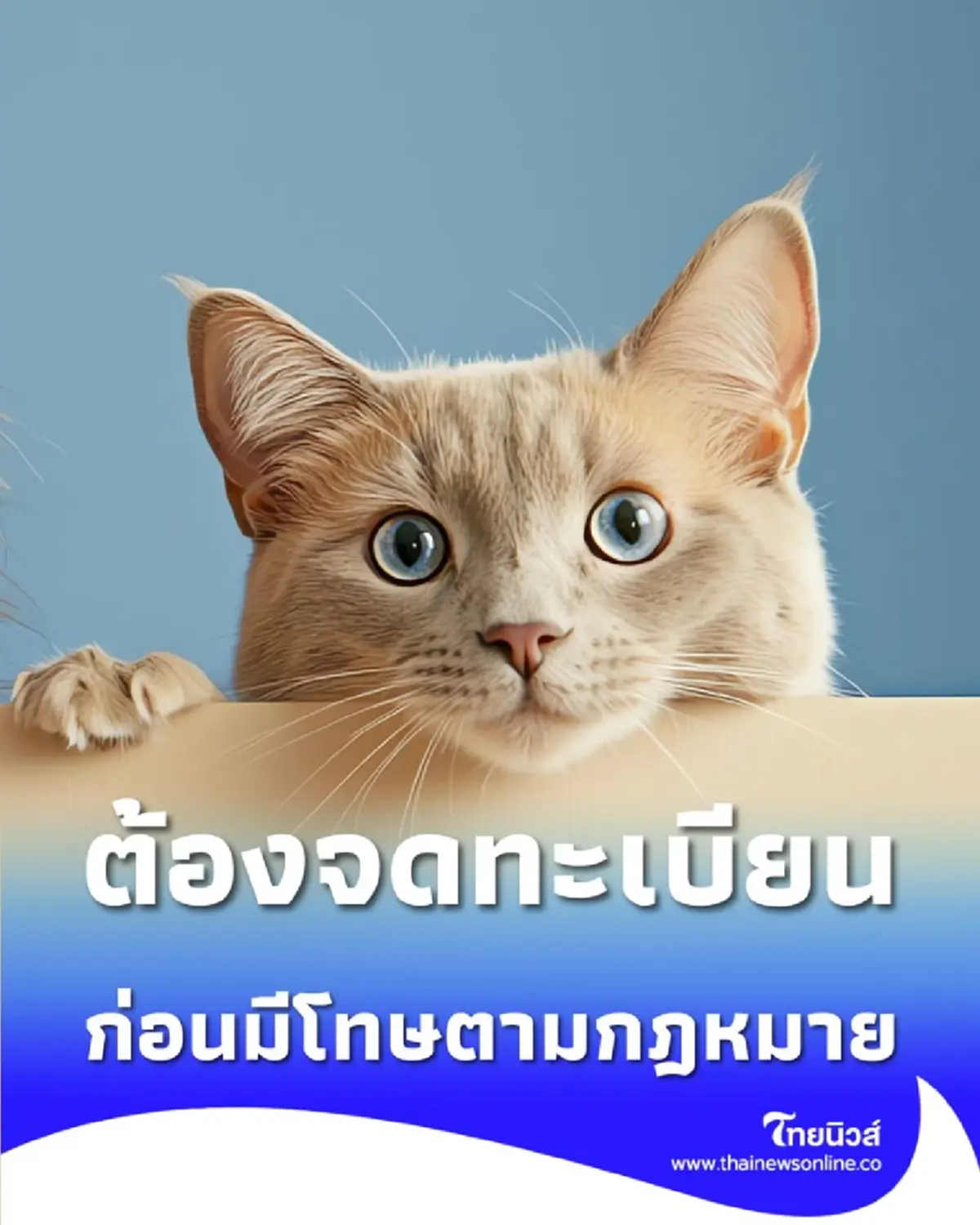 เจ้าของหมา-แมว ต้องจดทะเบียน ภายใน 10 ม.ค. 69 เท่านั้น