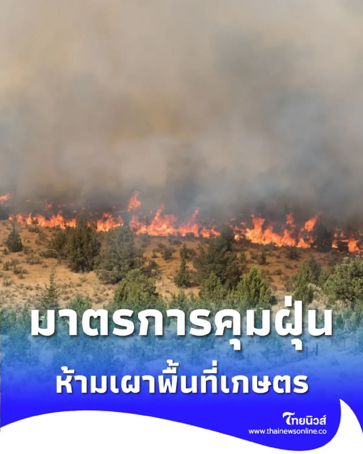 เกษตรฯ ลุยสกัด PM2.5 คลอดมาตรการ ห้ามเผา พื้นที่การเกษตรทั่วประเทศ