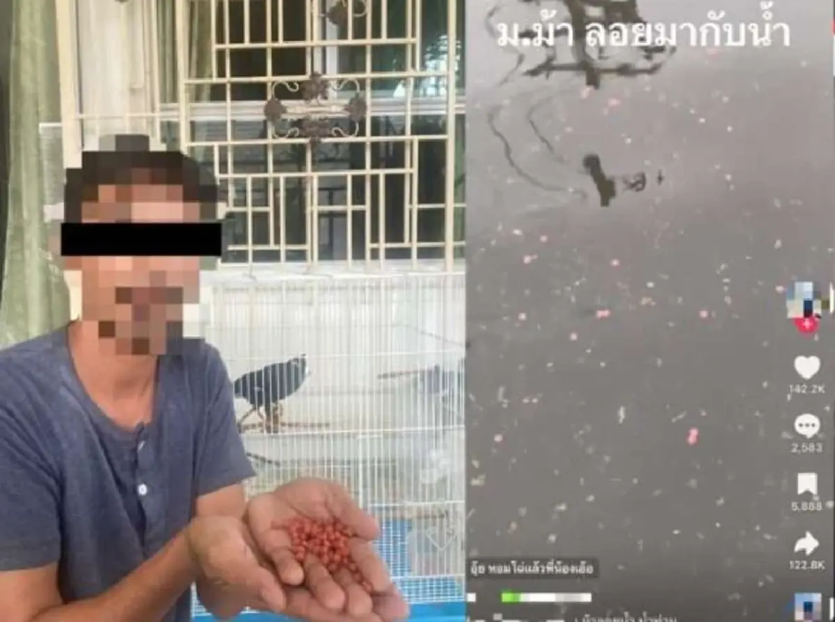 ป.ป.ส.แจงแล้ว เม็ดส้มๆลอยตามน้ำ ที่แท้เข้าใจผิดกันหมด