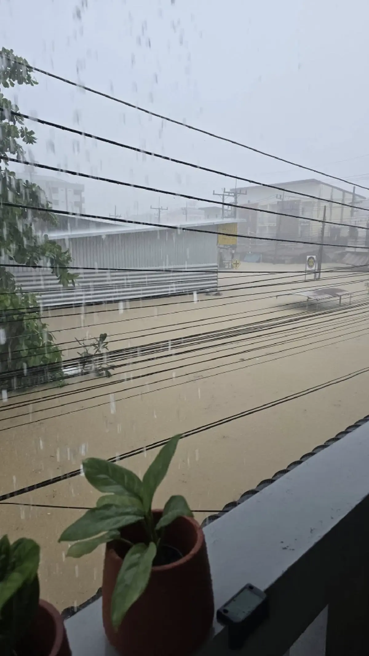 แห่ห่วง "แม่หมอไอซ์แมรี่เจน" โพสต์ขอความช่วยเหลือ ก่อนแบตจะหมด