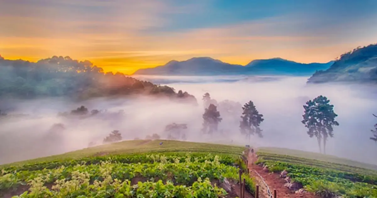 อุตุฯ อัปเดตพยากรณ์ฝน–ลม 10 วันล่วงหน้า (23 พ.ย.–2 ธ.ค. 68)