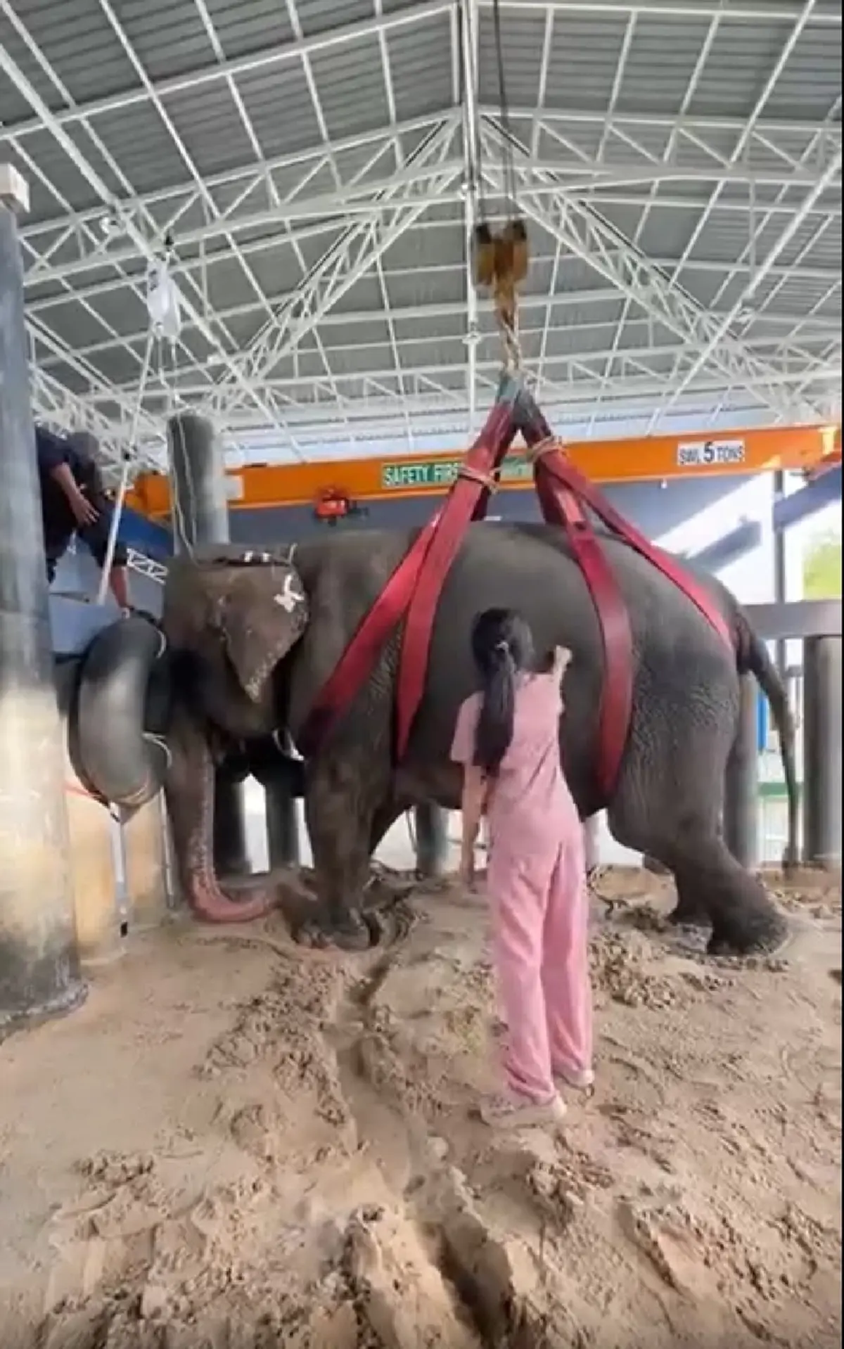 "หมอโบว์" จุกอก เล่าอาการสุดท้าย "พังสร้อยฟ้า" ก่อนสิ้นใจ