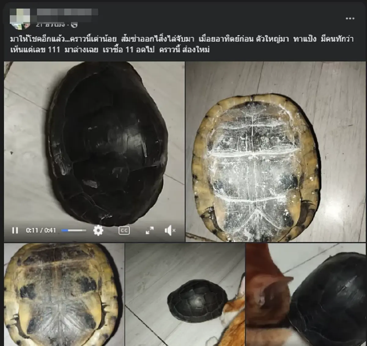 เปิดโพสต์สุดท้าย ทนายดัง ก่อนจบชีวิตตัวเอง ตรงคำให้การพี่สาว