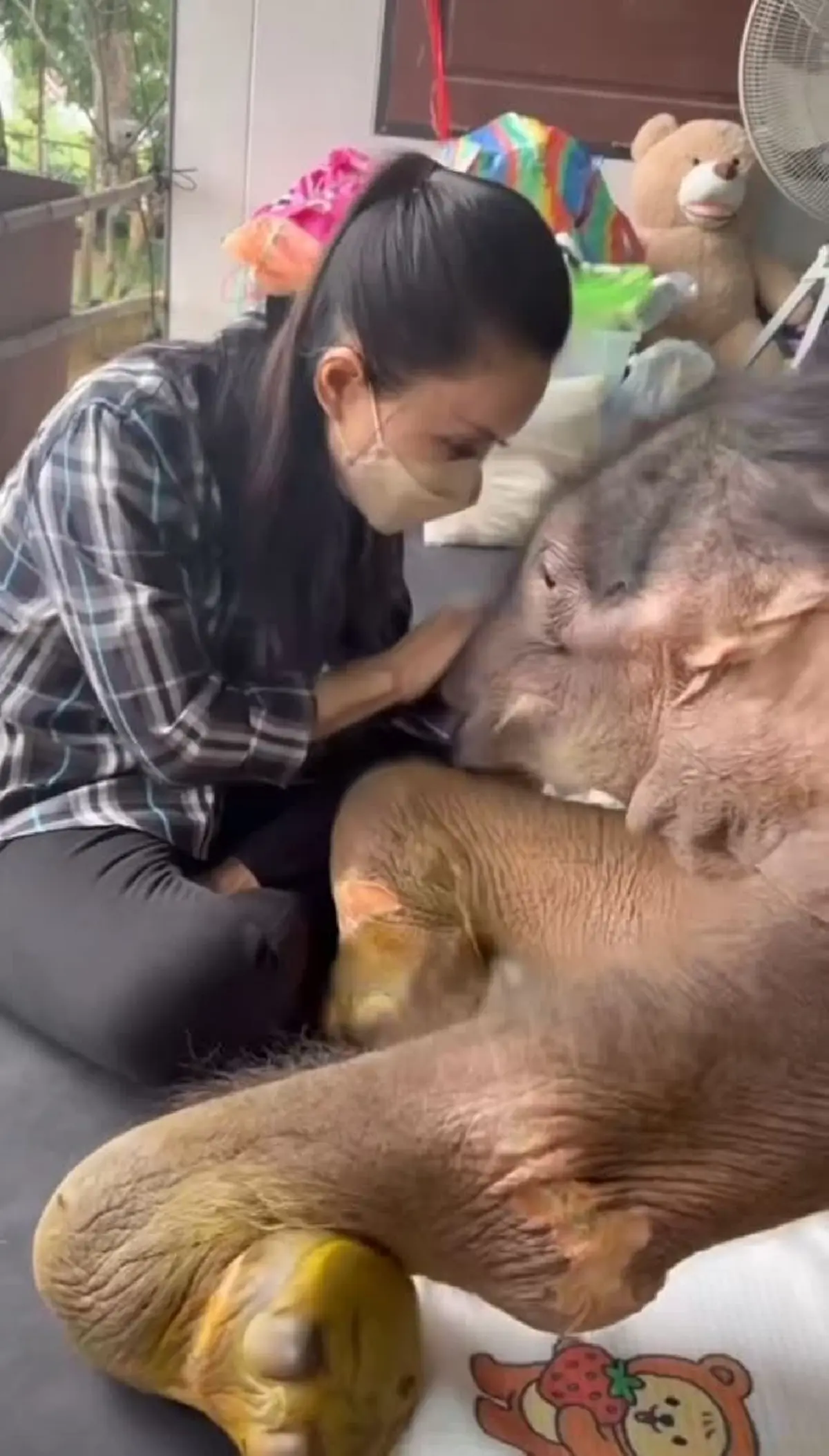 ห่วงหนัก น้องข้าวต้ม ล่าสุด ถึงกับบนบานสิ่งศักดิ์สิทธิ์