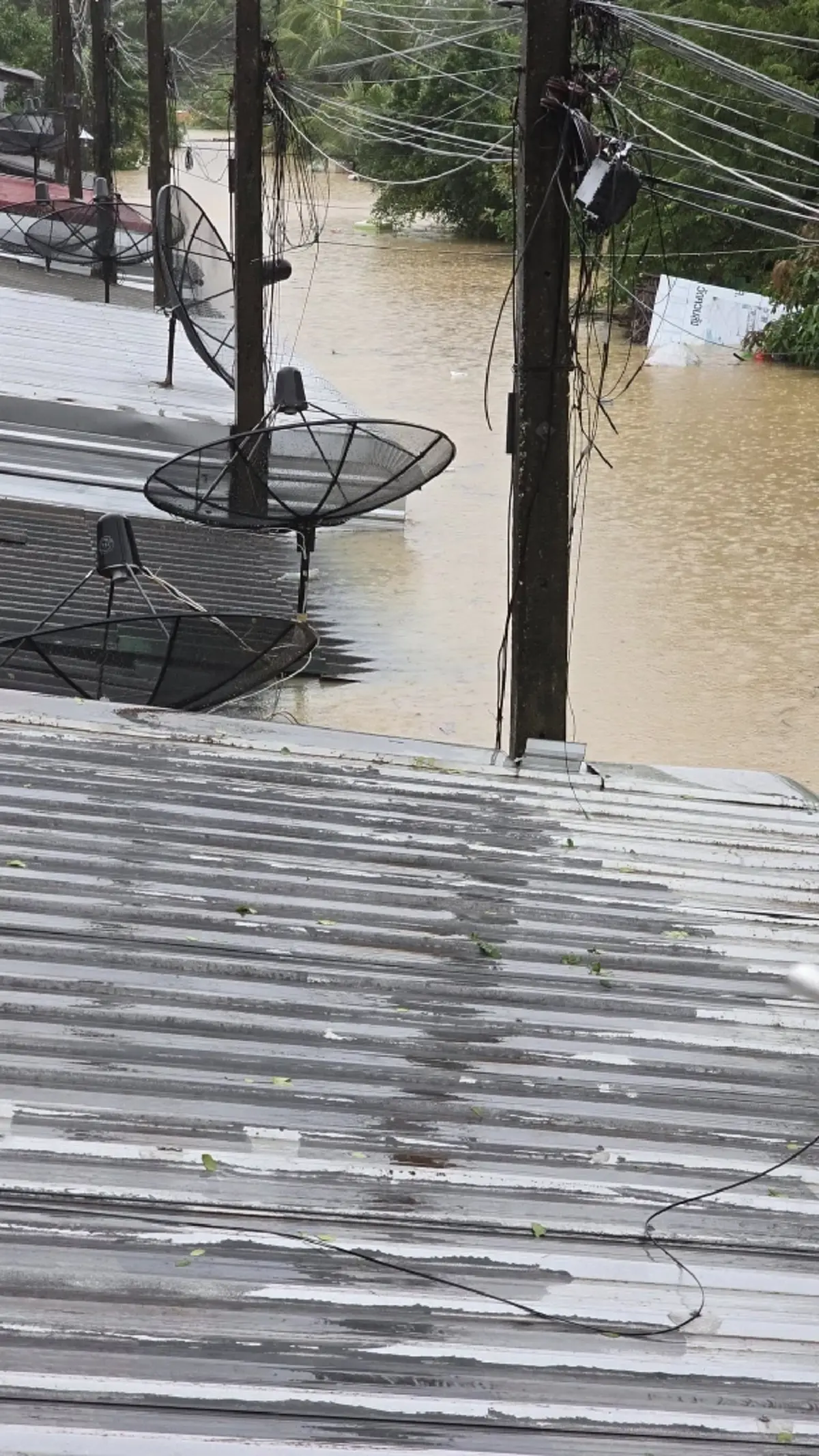 อัปเดต น้ำท่วม 9 จังหวัดภาคใต้ 'สงขลา-พัทลุง-สุราษฎร์ธานี' ระดับน้ำเริ่มลดลง