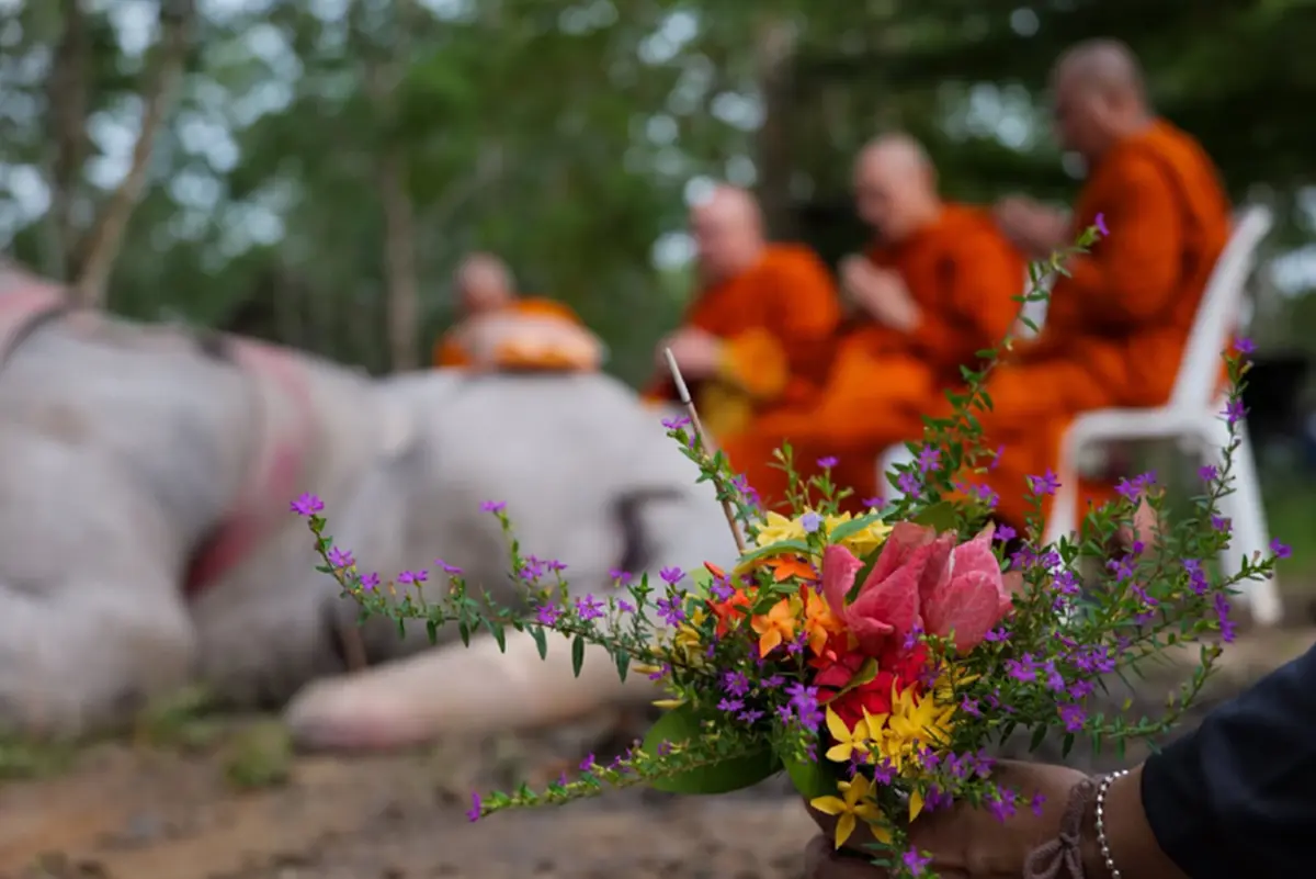 ย้อนชีวิต พังสร้อยฟ้า จากอดีตเจ็บปวด สู่บ้านหลังสุดท้ายของชีวิต