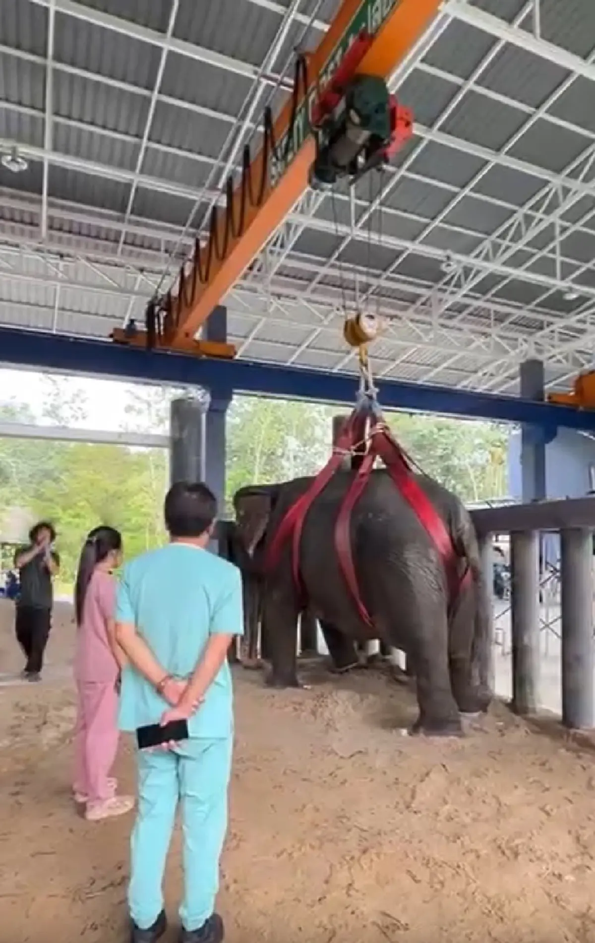 "หมอโบว์" จุกอก เล่าอาการสุดท้าย "พังสร้อยฟ้า" ก่อนสิ้นใจ