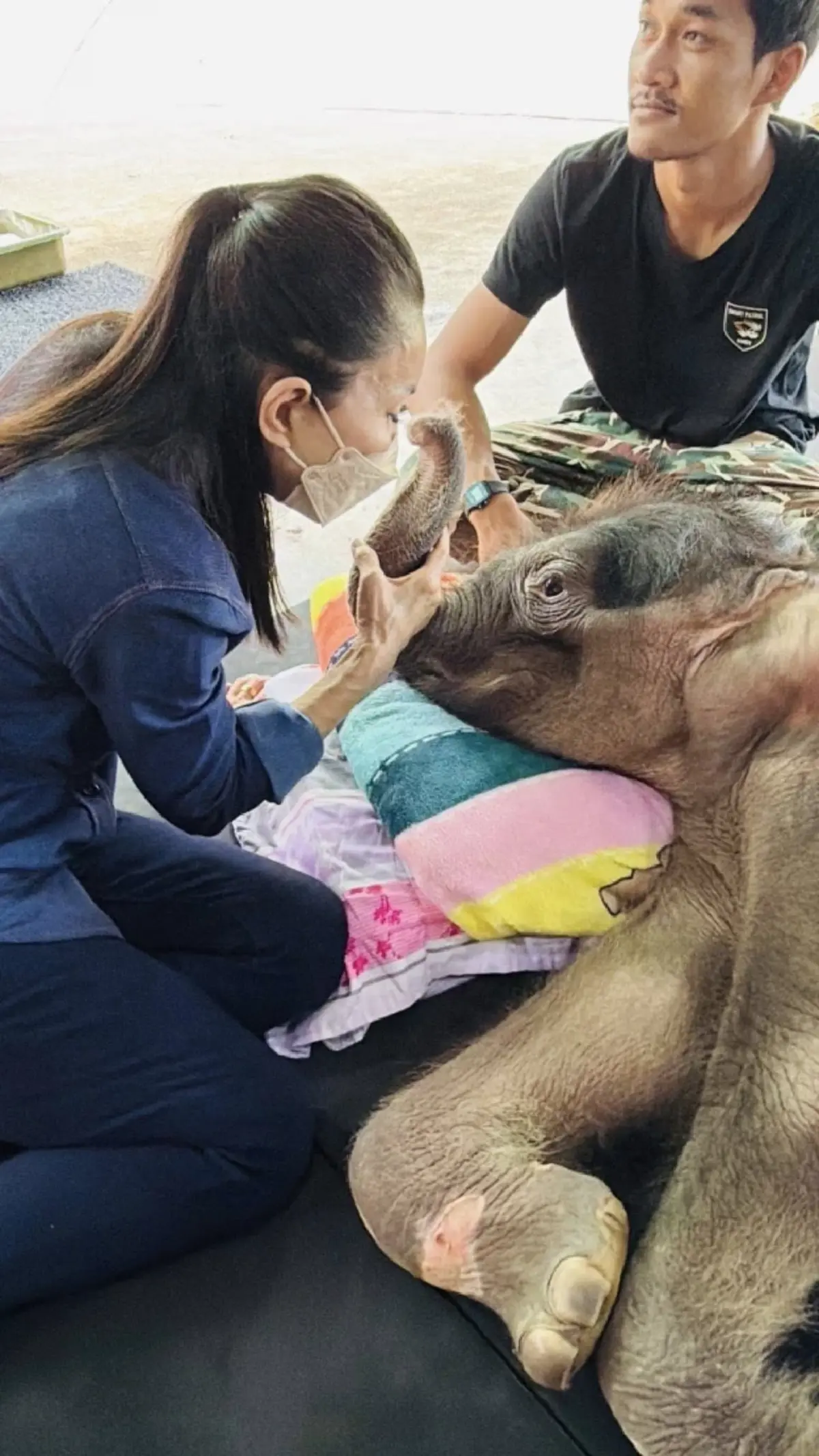 มีข่าวดี อาการล่าสุด น้องข้าวต้ม หลังจากให้สเต็มเซลล์