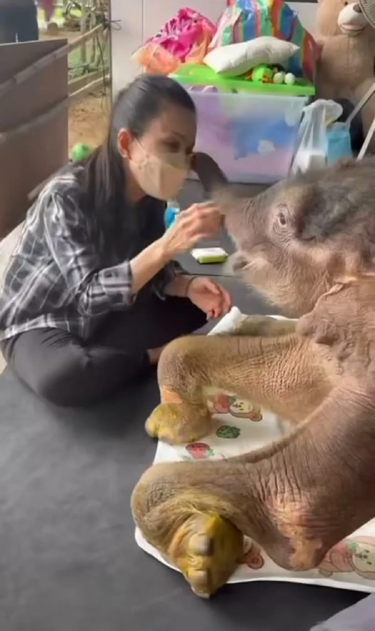 ห่วงหนัก น้องข้าวต้ม ล่าสุด ถึงกับบนบานสิ่งศักดิ์สิทธิ์