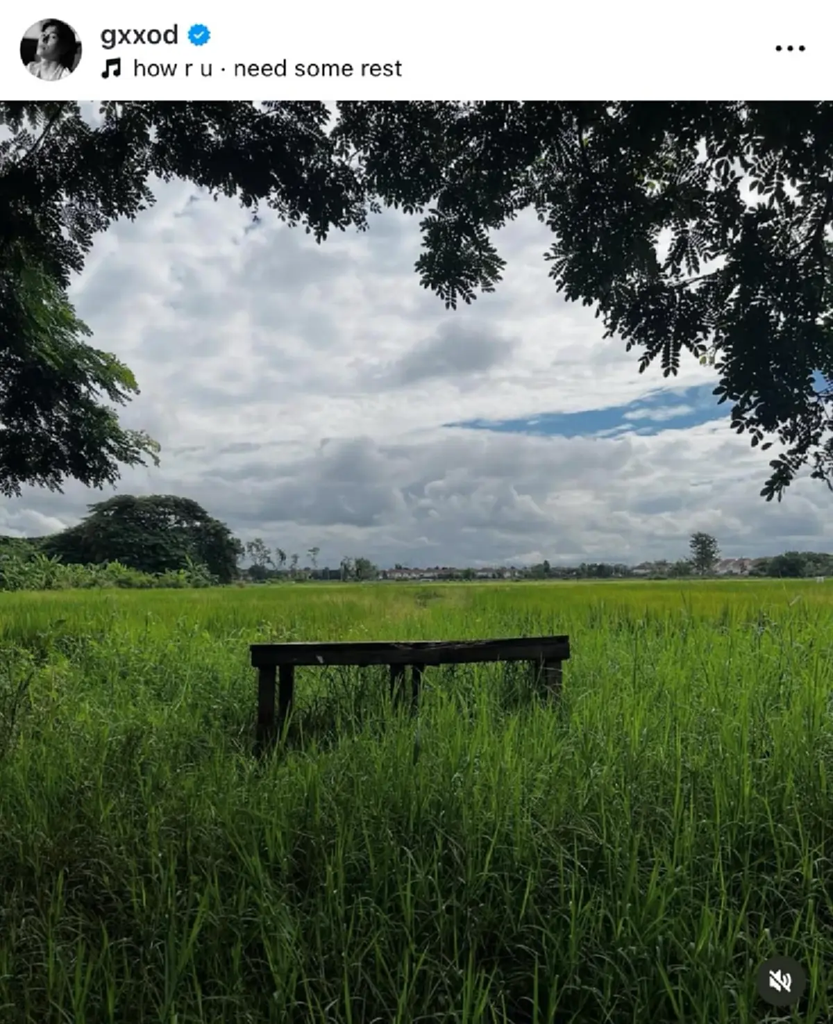 เกิดอะไรขึ้น ก็อต-ริชชี่ ส่อแววเลิก หลังหลุดแชทฝ่ายชายยอมรับผิด