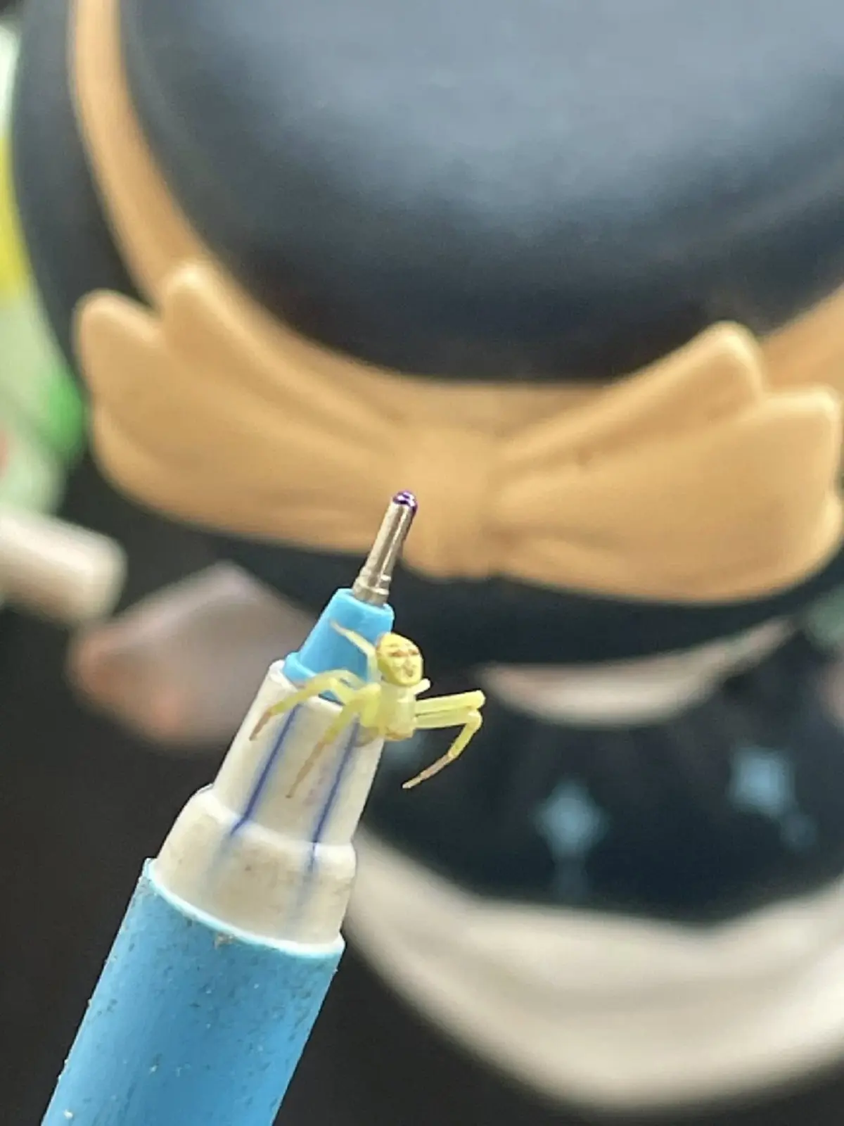 รู้แล้ว แมงมุมหน้าคน ที่แท้มันคืออะไรกันแน่ ชาวเน็ตแชร์สนั่น 