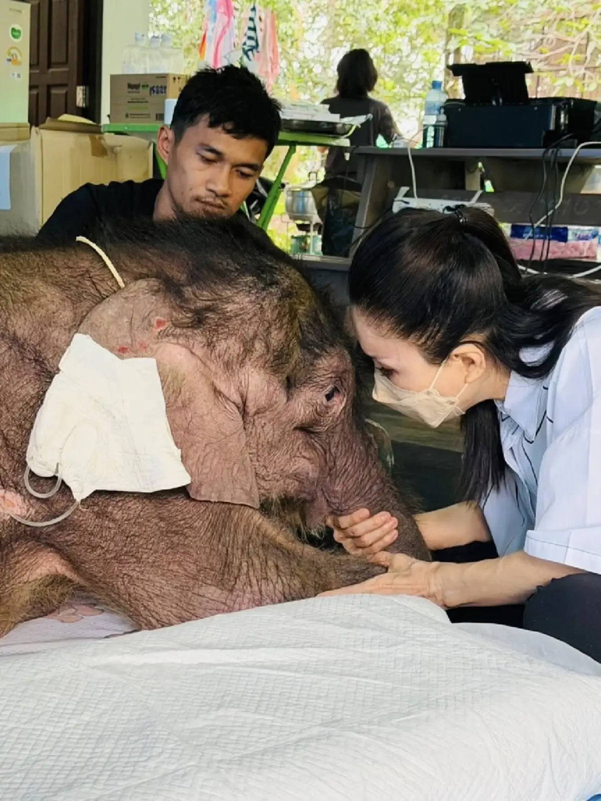 น้องข้าวต้ม เลือดนักสู้ อัปเดตล่าสุด จะโอบอุ้มน้องไปด้วยกัน