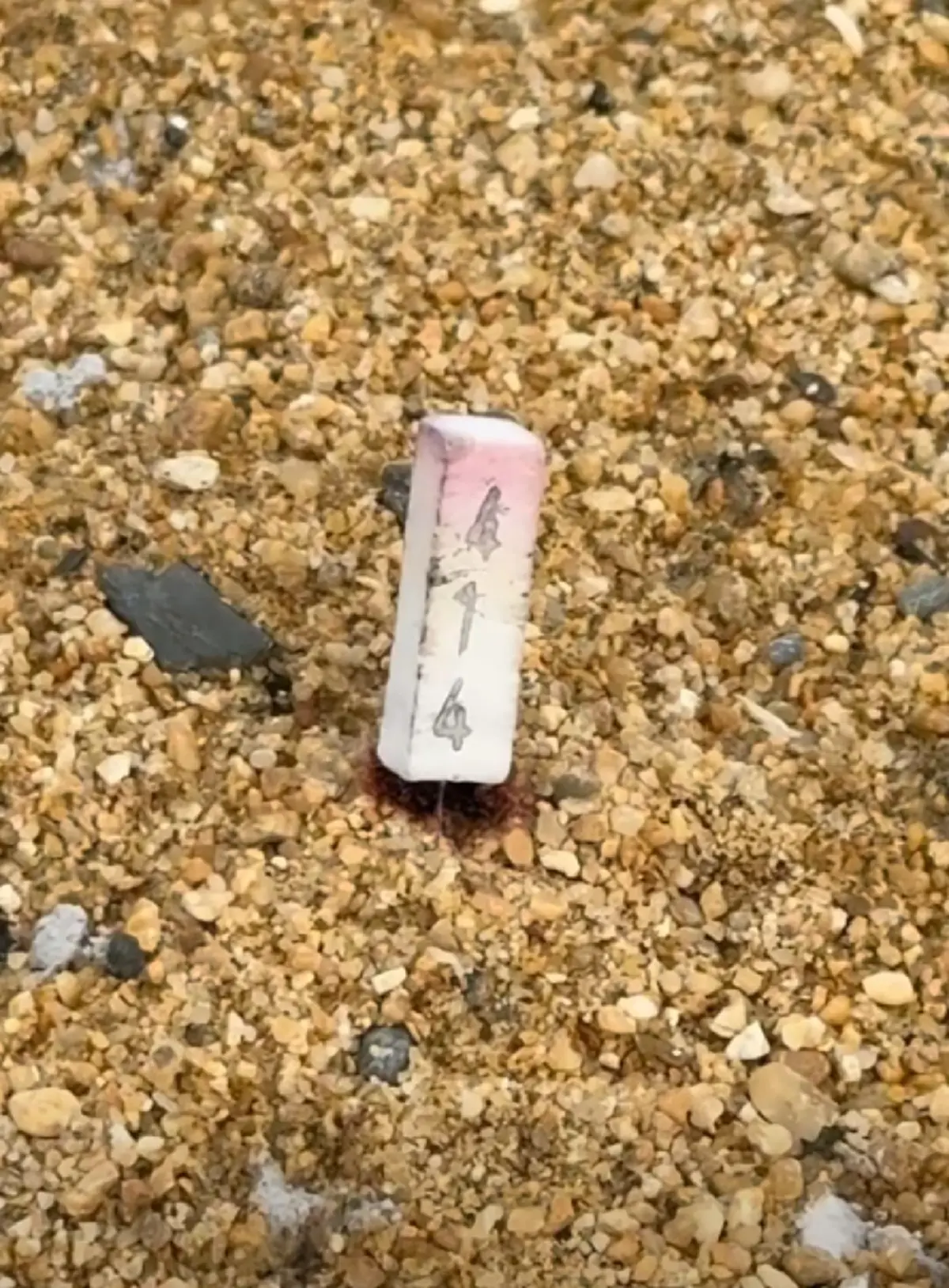 ฮาย อาภาพร ล้วงไห จุดเลขธูปปู่ท้าวเวสสุวรรณ บังเอิญเลขคล้ายกันมาก