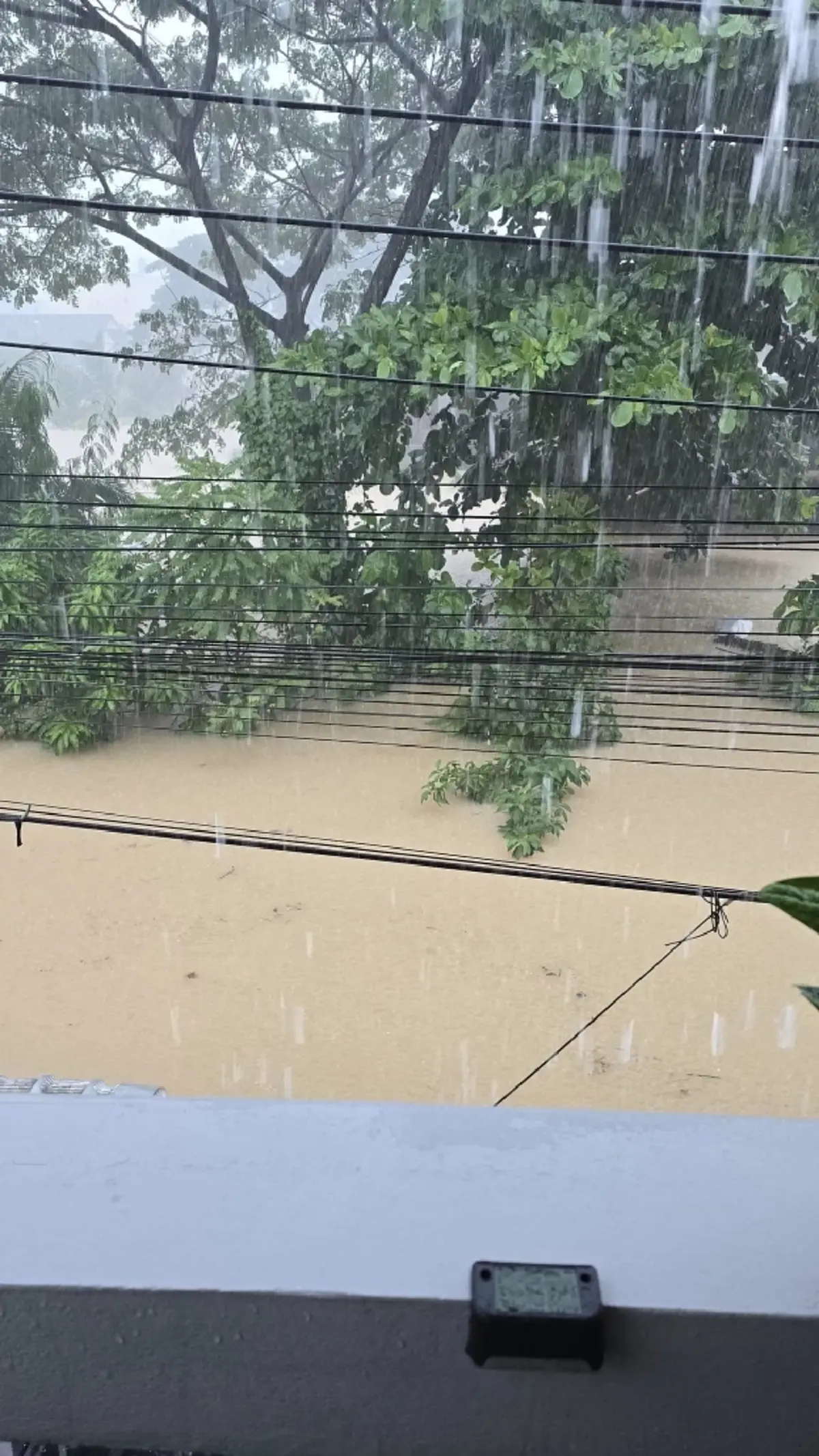 แห่ห่วง "แม่หมอไอซ์แมรี่เจน" โพสต์ขอความช่วยเหลือ ก่อนแบตจะหมด