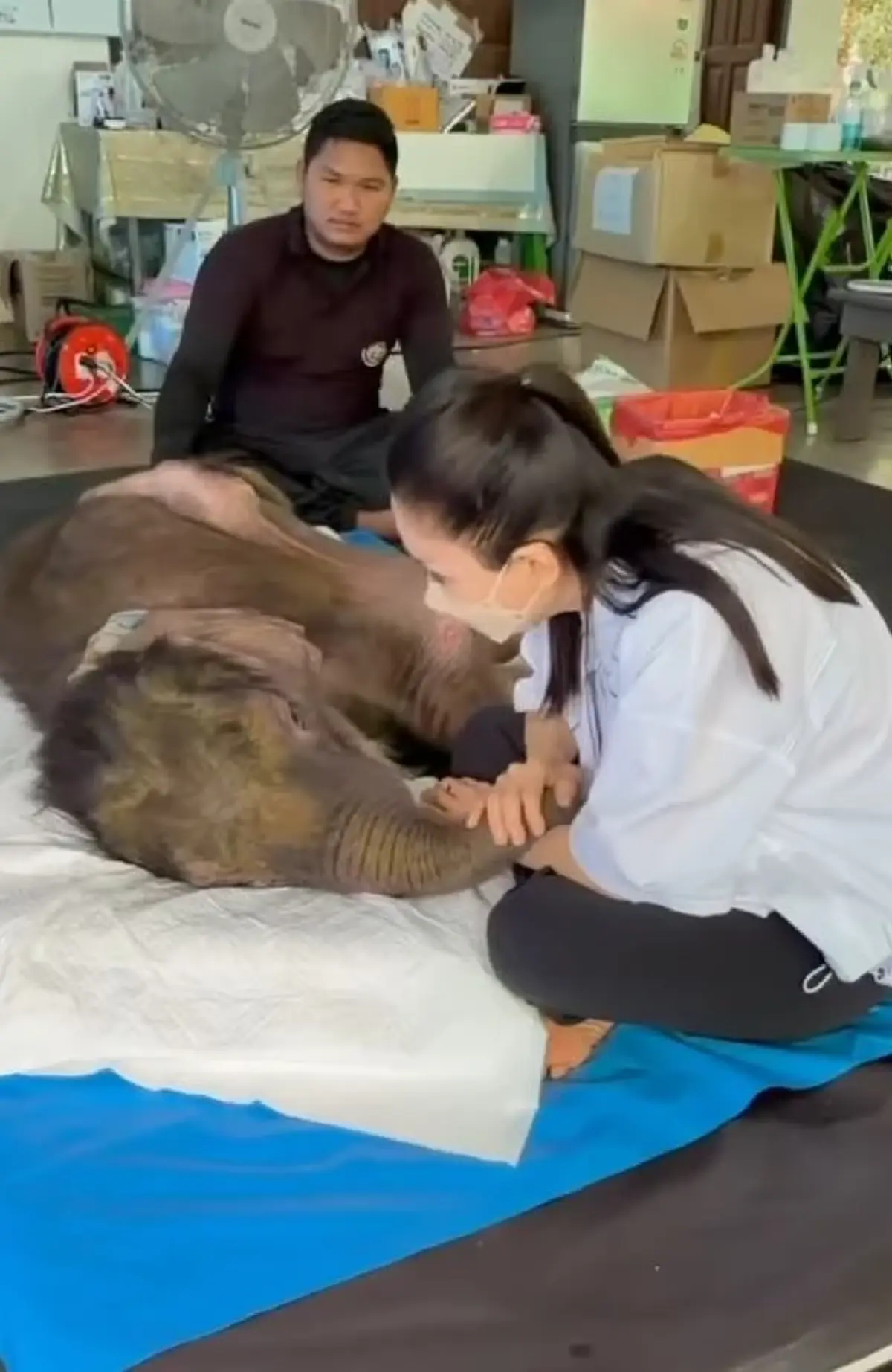 น้องข้าวต้ม เลือดนักสู้ อัปเดตล่าสุด จะโอบอุ้มน้องไปด้วยกัน