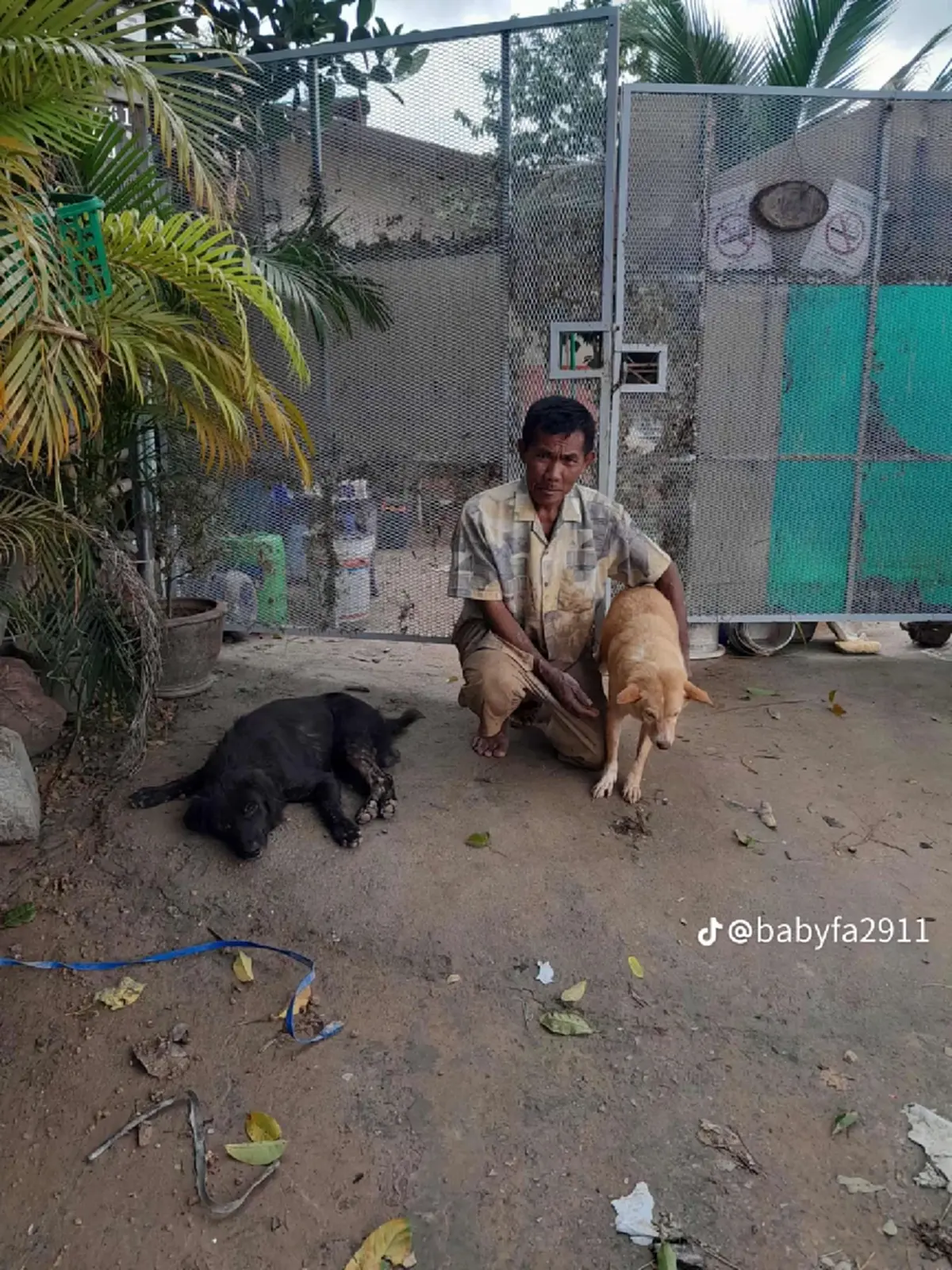 อัปเดตล่าสุด เคสบีบหัวใจคุณลุงกับน้องหมา ข่าวที่หลายคนรอคอย