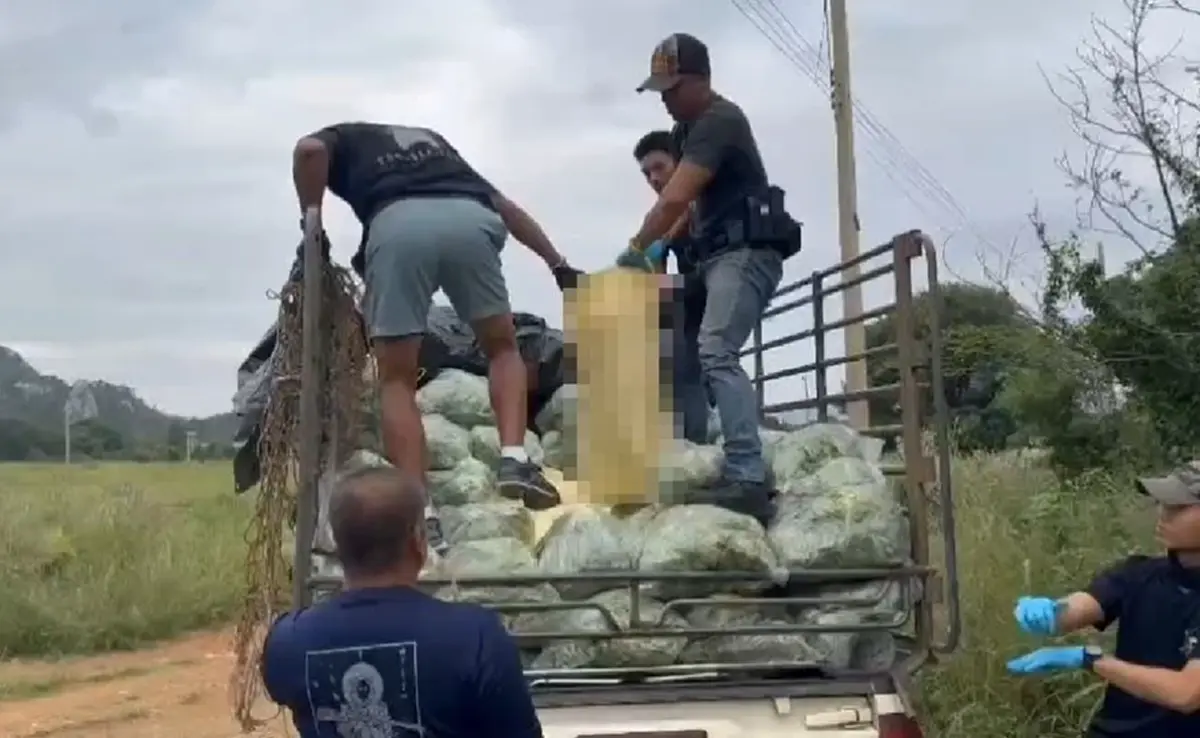 สกัดจับ รถขนผักบังหน้า ซุกไอซ์ 600 กก. เกือบหลุดเข้าภาคกลาง