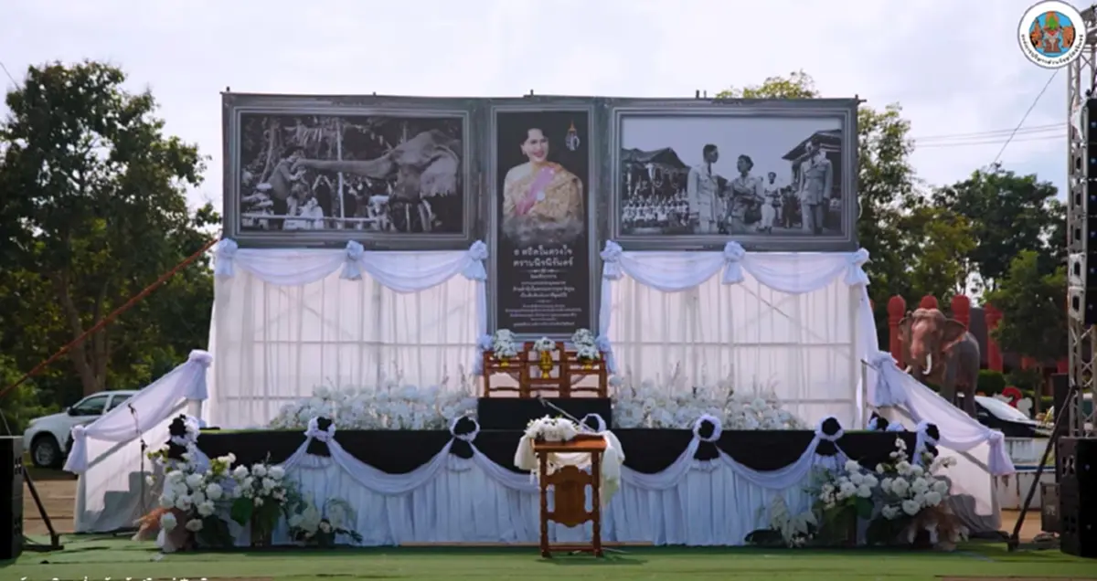 มหัศจรรย์ช้างสุรินทร์ กว่า 300 เชือก ร่วมถวายอาลัยแม่ของแผ่นดิน