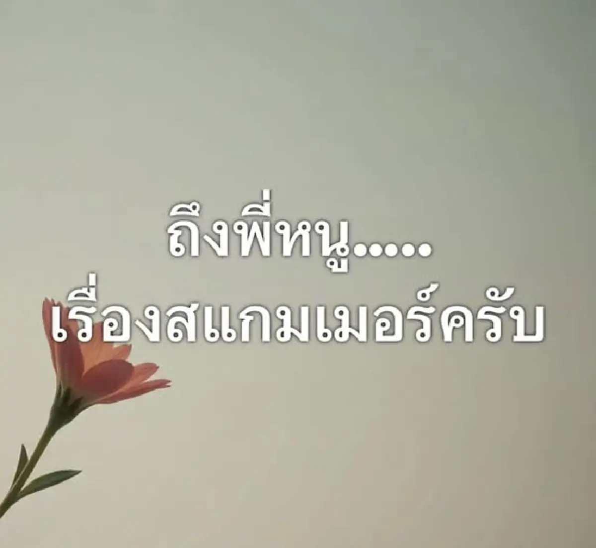 เปิ้ล นาคร ฝากถึง พี่หนู ช่วยจัดการแก๊งสแกมเมอร์ให้สิ้นซาก