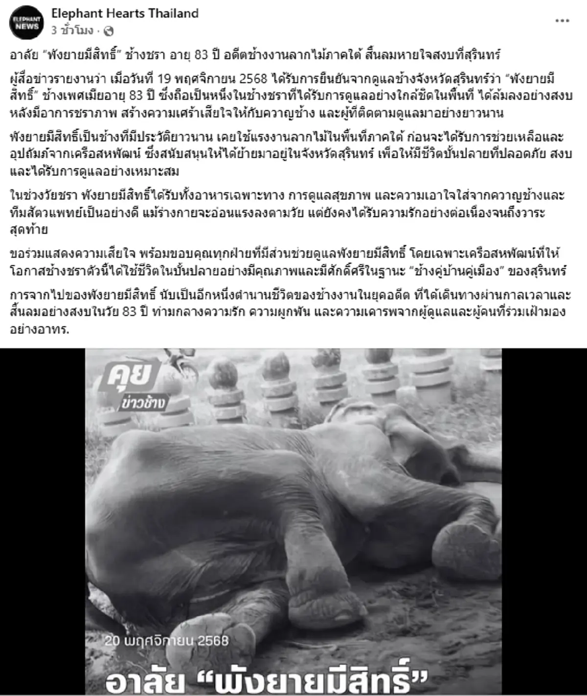 อาลัยตำนานช้าง "พังยายมีสิทธิ์" สิ้นลมอย่างสงบในวัย 83 ปี