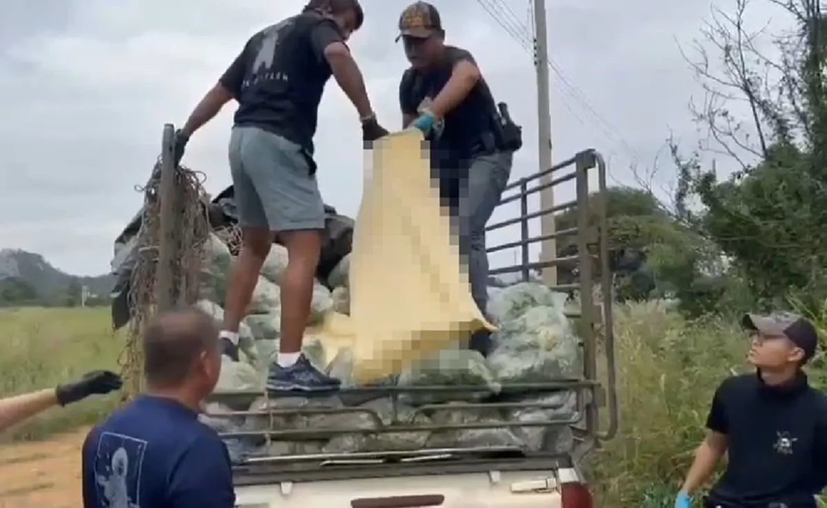 สกัดจับ รถขนผักบังหน้า ซุกไอซ์ 600 กก. เกือบหลุดเข้าภาคกลาง