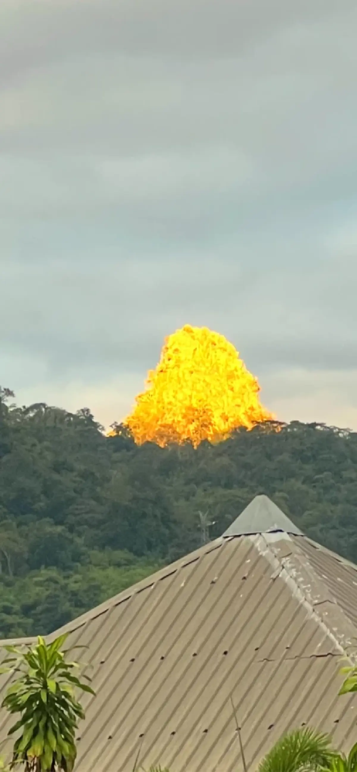 อ.เจษฎ์ เผยสาเหตุ ยอดเขาแหลม ทองผาภูมิ ทำไมเปลี่ยนเป็นสีทองอร่าม