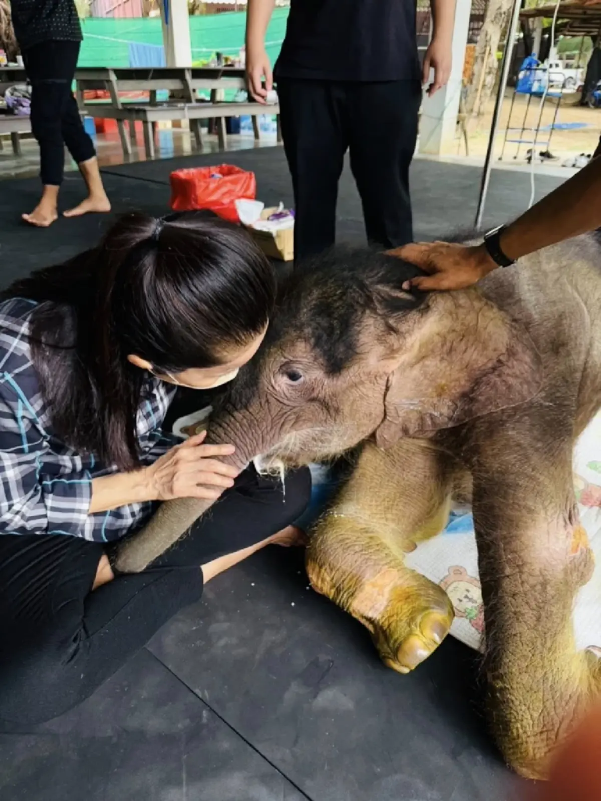 ห่วงหนัก น้องข้าวต้ม ล่าสุด ถึงกับบนบานสิ่งศักดิ์สิทธิ์